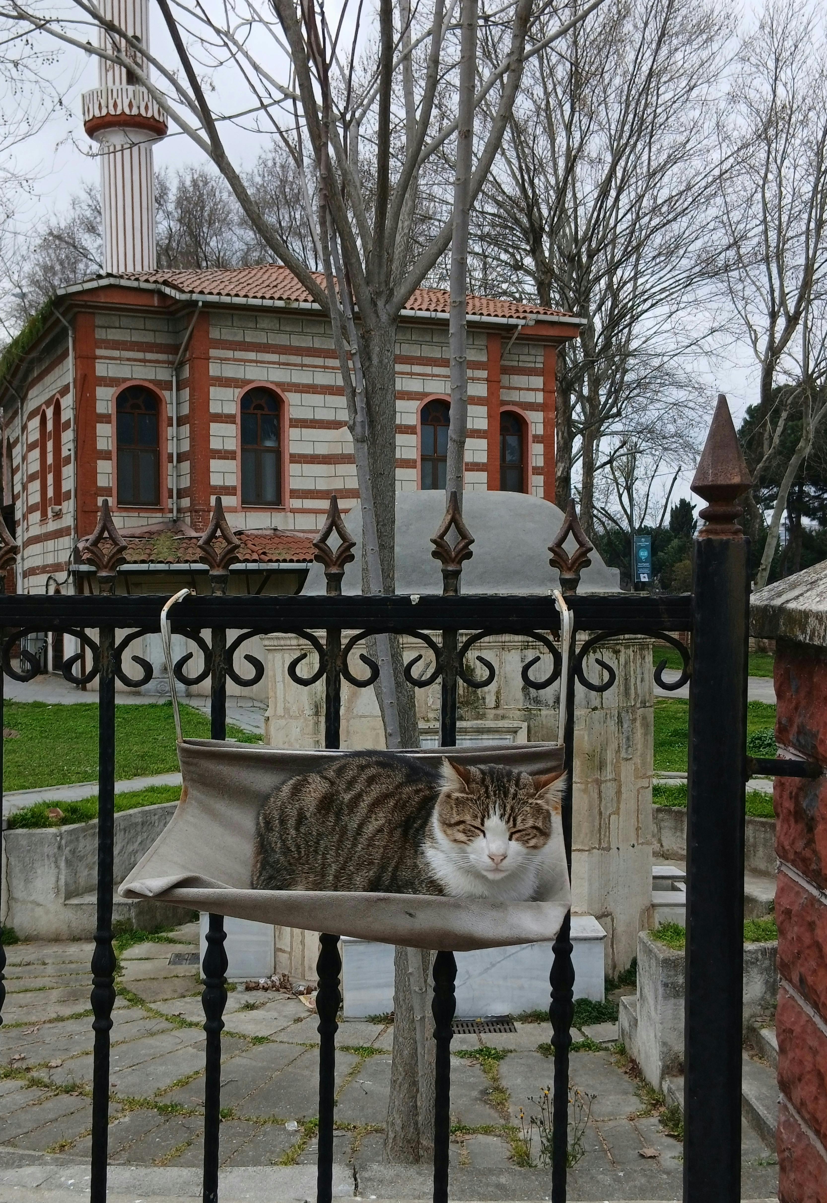 bezplatná Základová fotografie zdarma na téma architektonický styl, architektura, bílá a šedá Základová fotografie