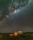 西澳大利亚乡村上空的银河系景观令人惊叹，展现了璀璨的星空