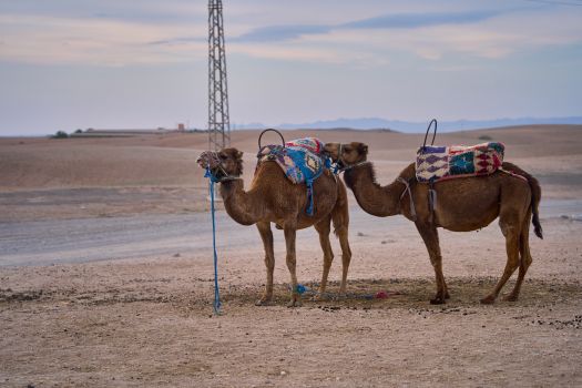Agafay desert camp overnight — Marrakech