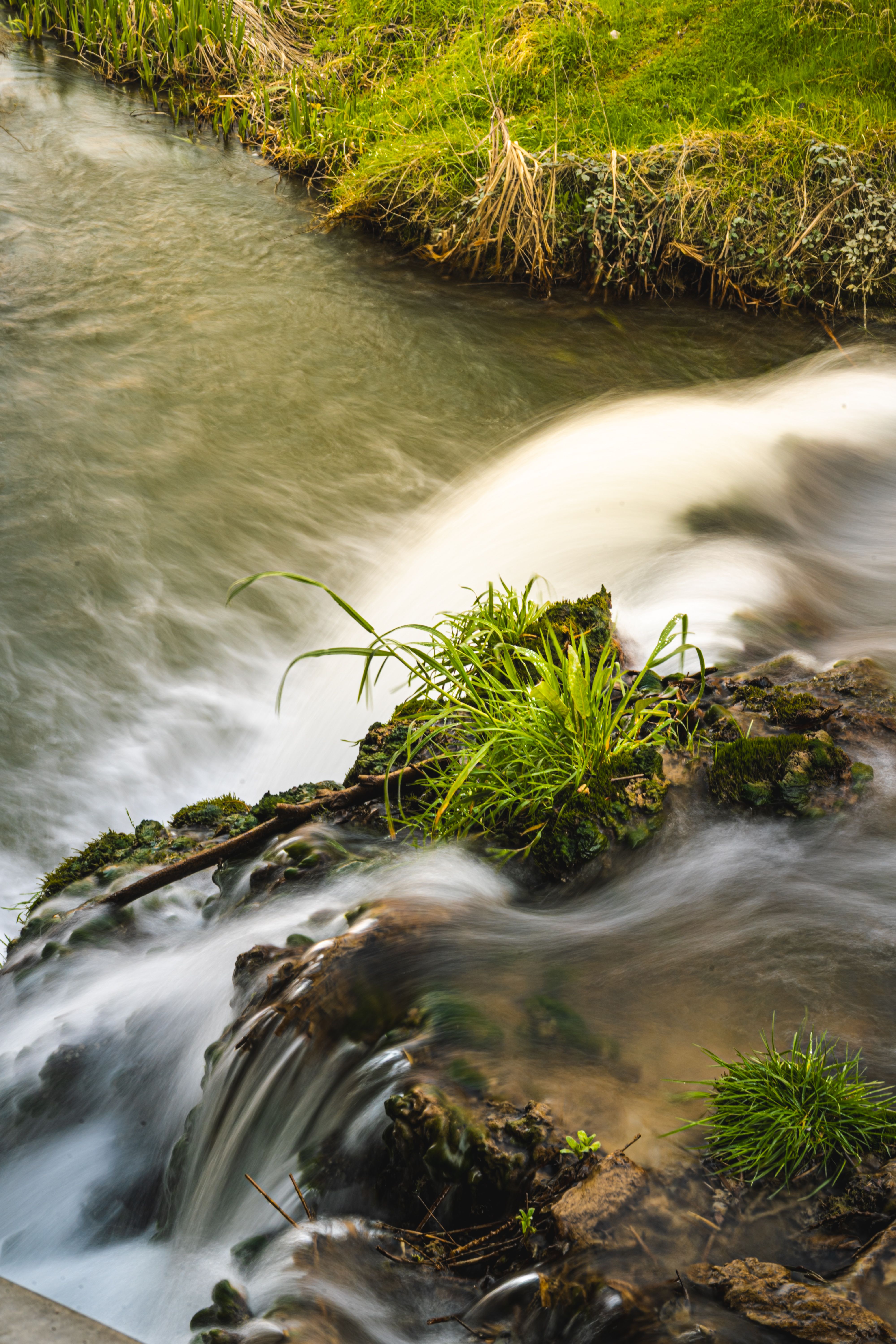 Tranquil scene of a stream flowing over rocks with green foliage, showcasing natural beauty.