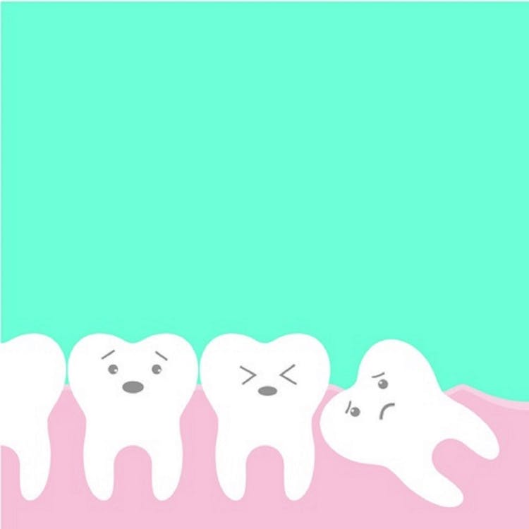 Free Immagine gratuita di dentale, dente, dente del giudizio Stock Photo