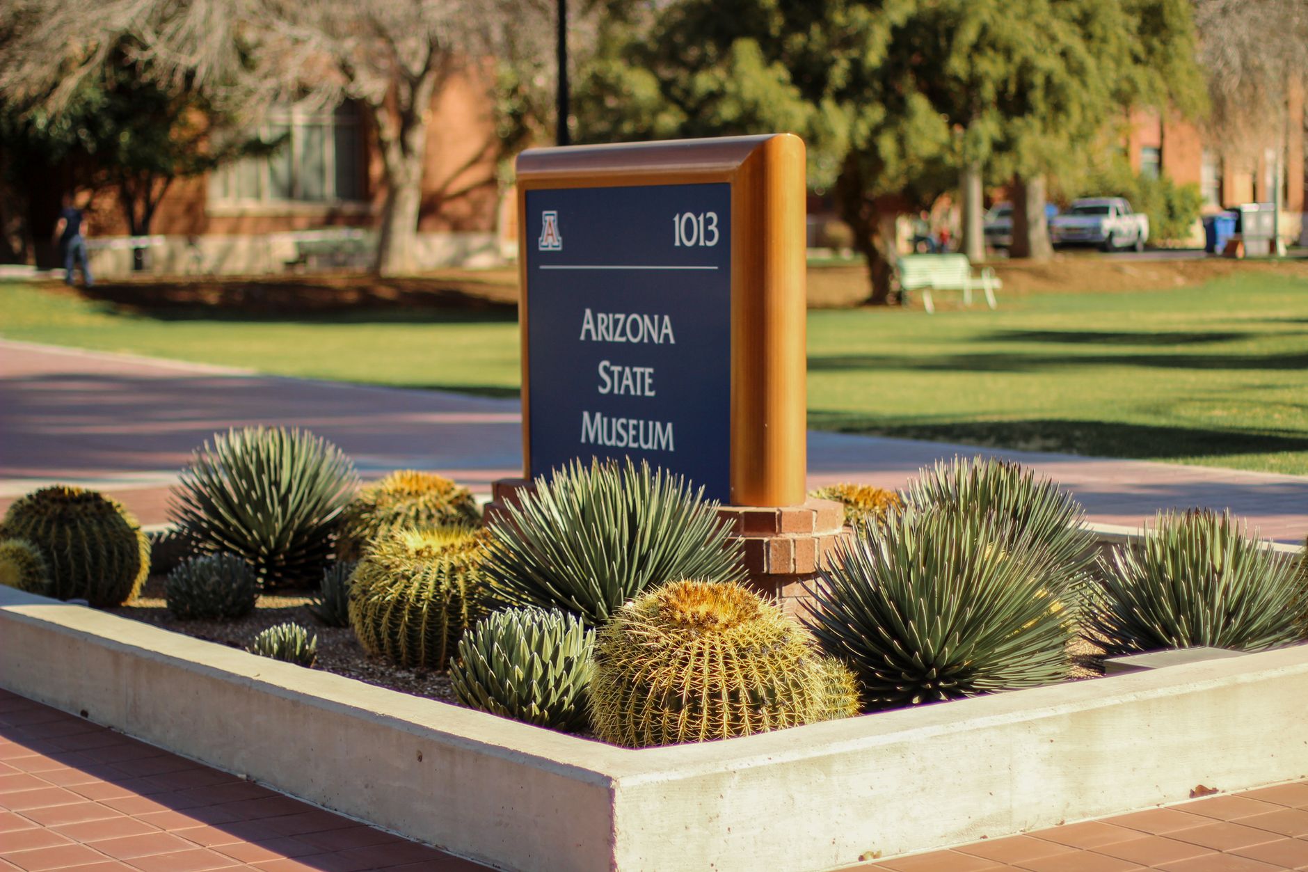 Tucson photo 3