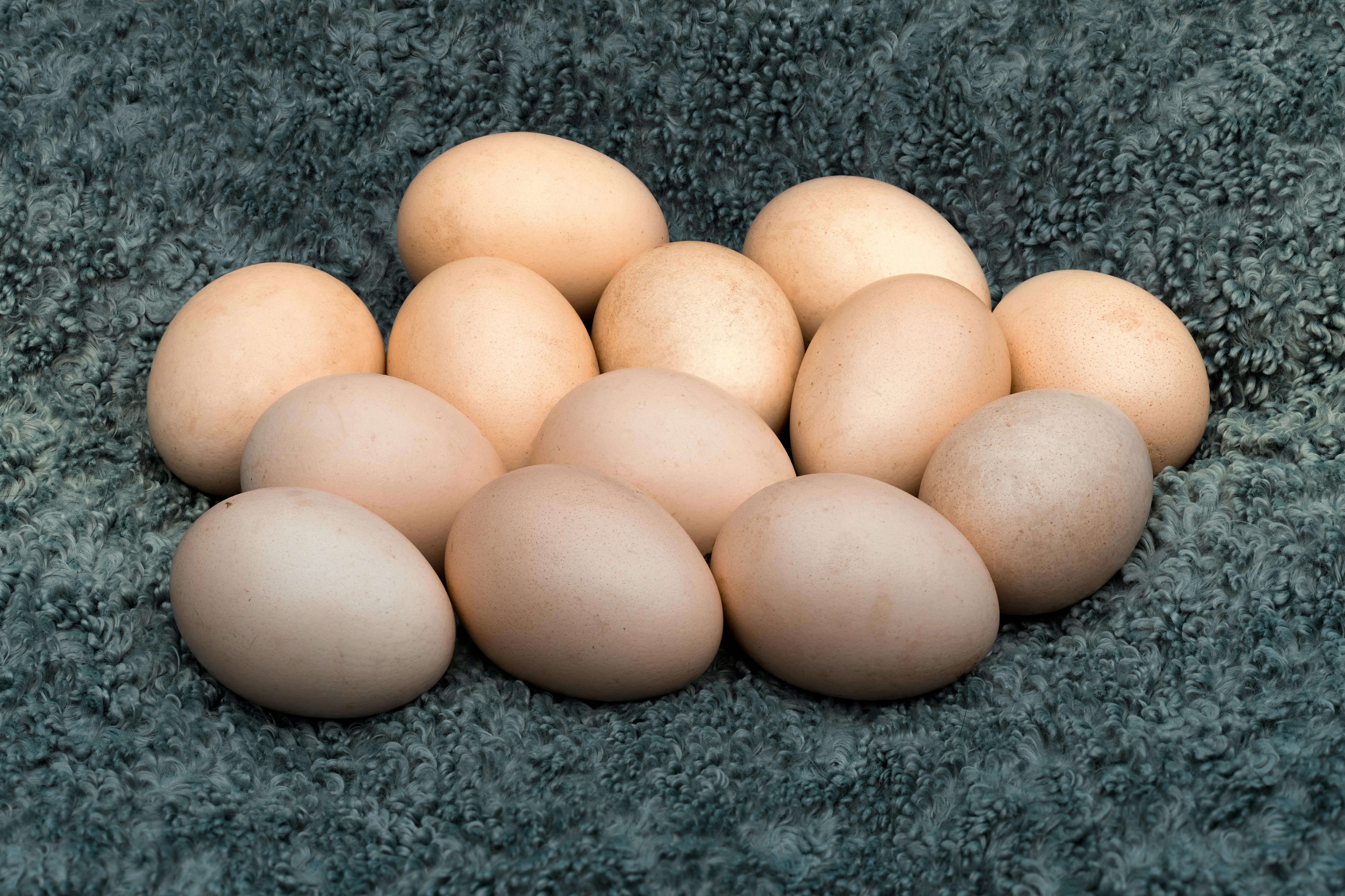 Gratis Et dusin økologiske frittgående egg hvilende på et grått ullstoff. Perfekt for gård-til-bord-konsepter. Arkivbilde