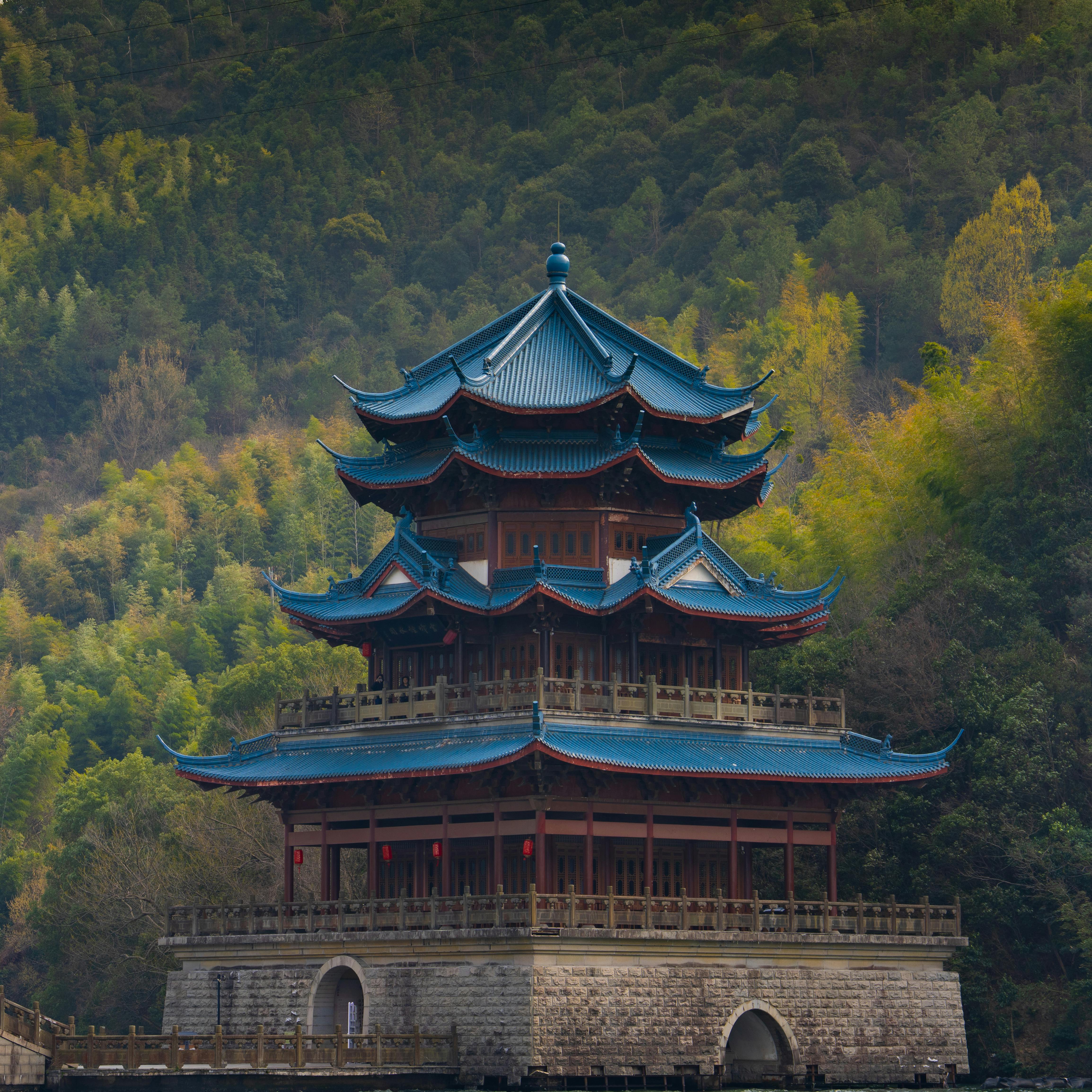 grátis Foto profissional grátis de @exterior, alegre, ancião Foto profissional