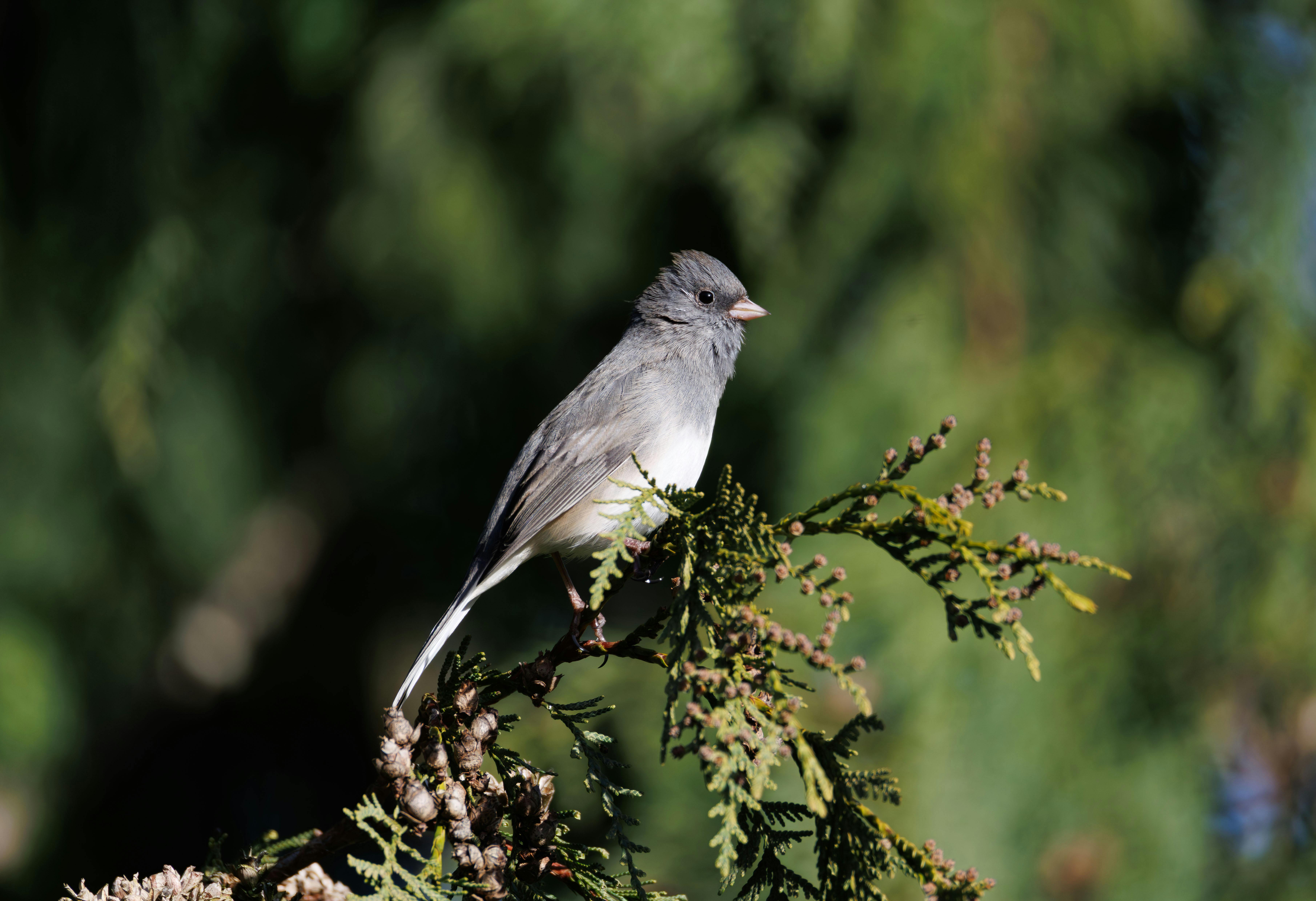 Miễn phí Ảnh lưu trữ miễn phí về @ngoài trời, ánh sáng mặt trời, bầu trời quang đãng Ảnh lưu trữ