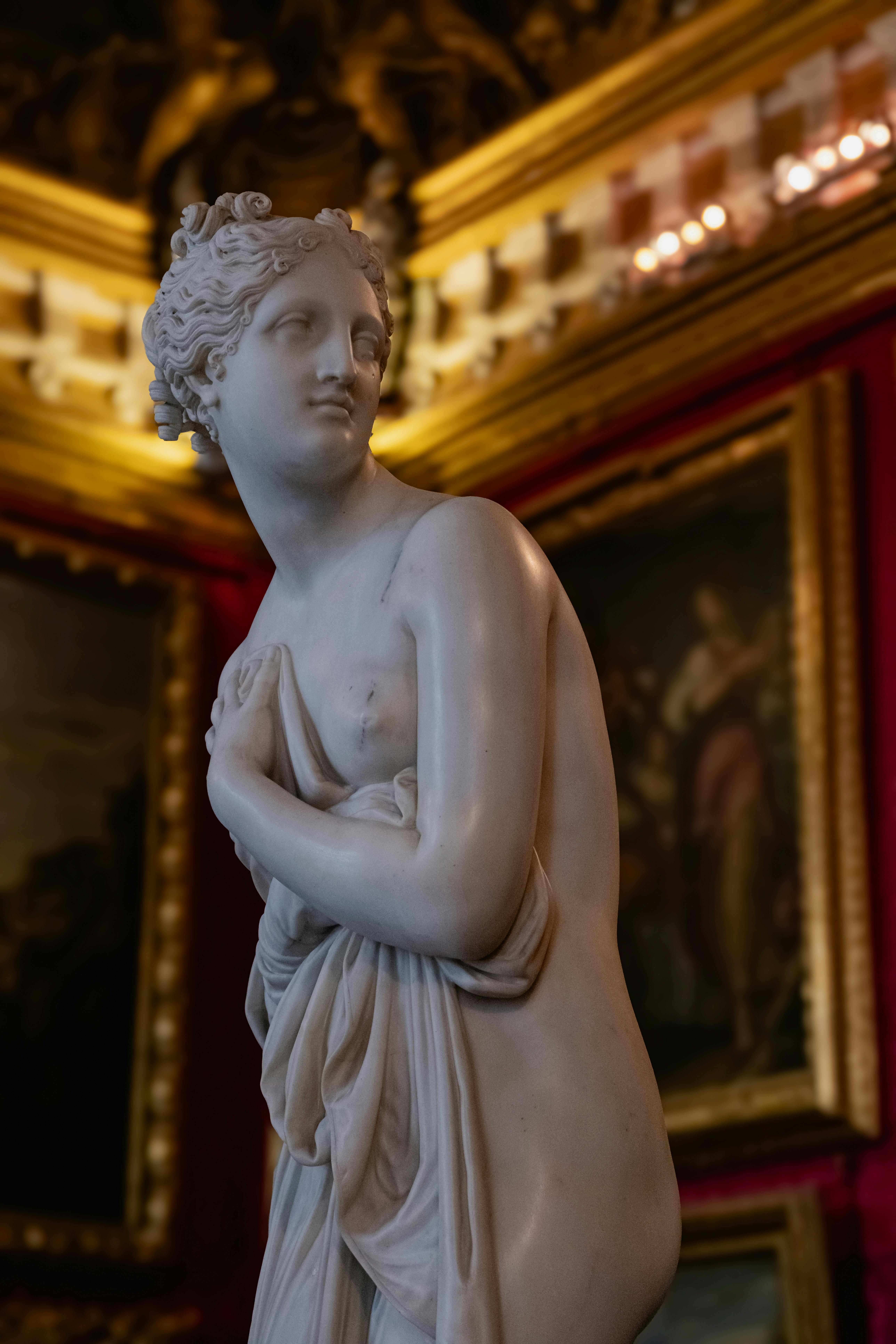 gratis Ingewikkeld marmeren standbeeld van Venus in het weelderige Palazzo Pitti in Florence, Italië. Stockfoto