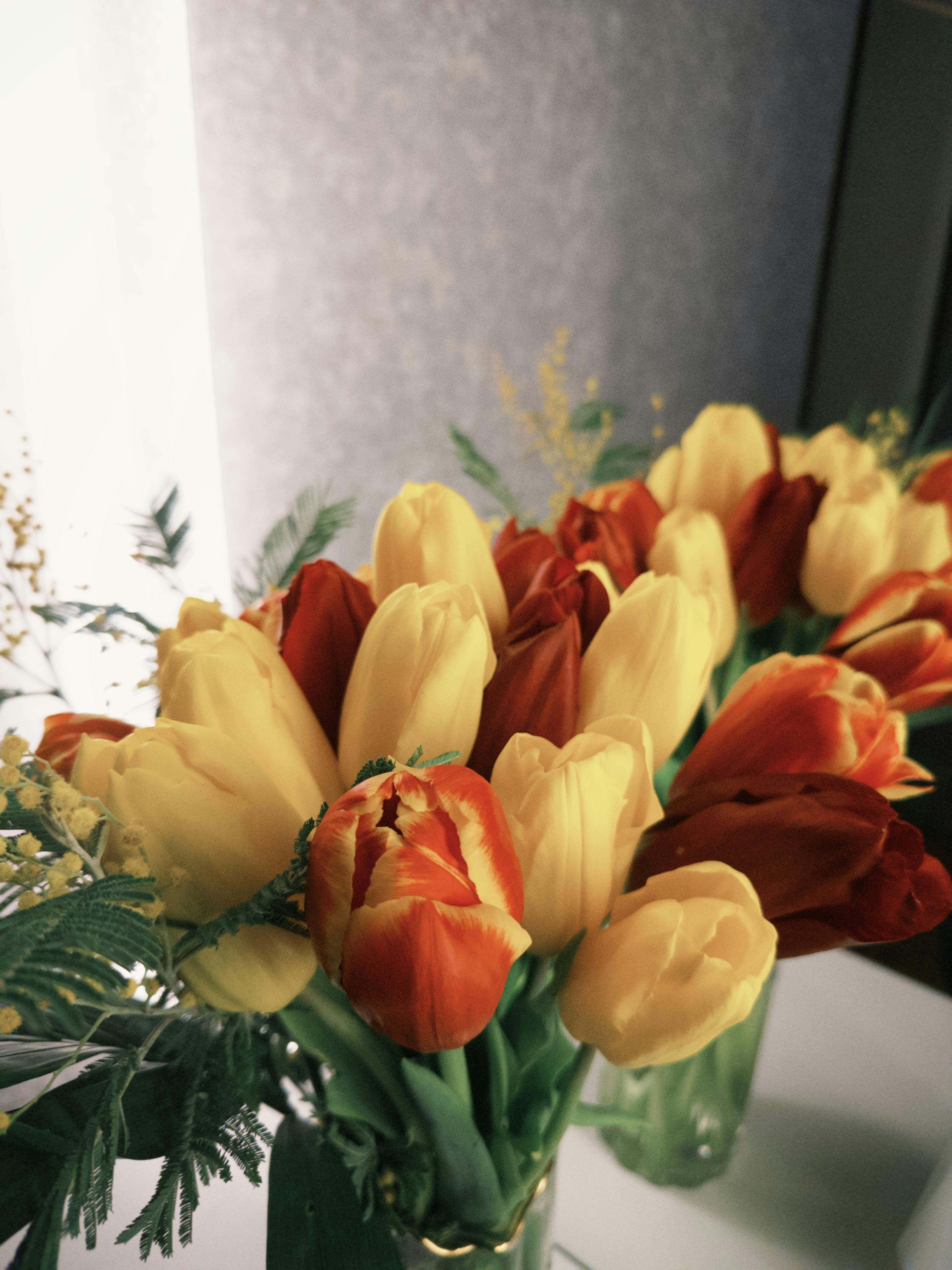 grátis Foto profissional grátis de amarelo, ambiente interno, arranjo decorativo Foto profissional