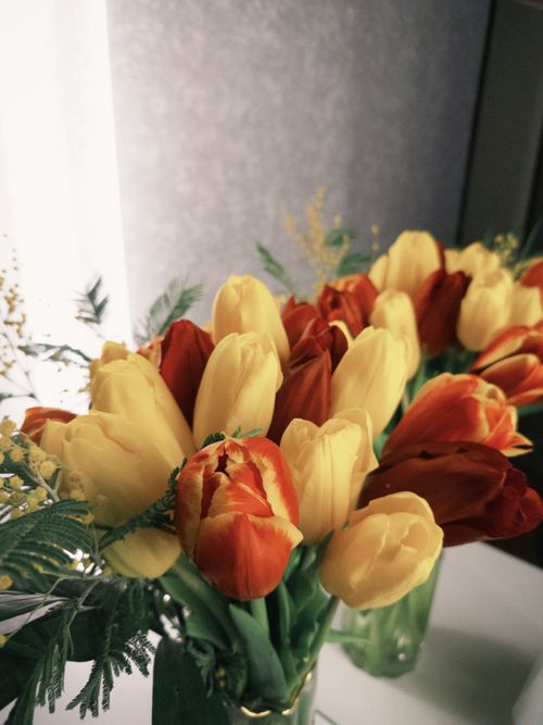 Free A stunning bouquet of red and yellow tulips in a vase, beautifully arranged indoors. Stock Photo