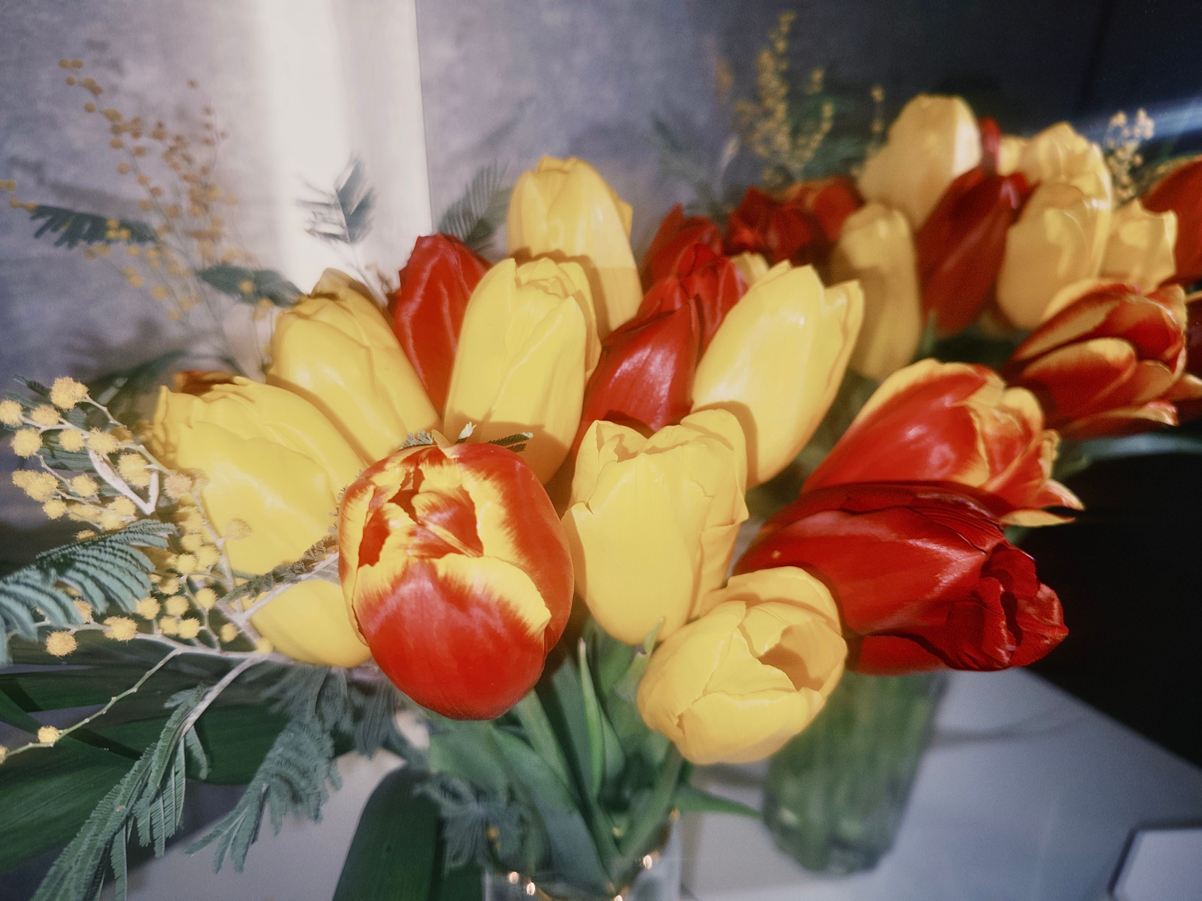 [ColoSach]-a-colorful-arrangement-of-red-and-yellow-tulips-displayed-in-a-vase-surrounded-by-greenery-indoors.