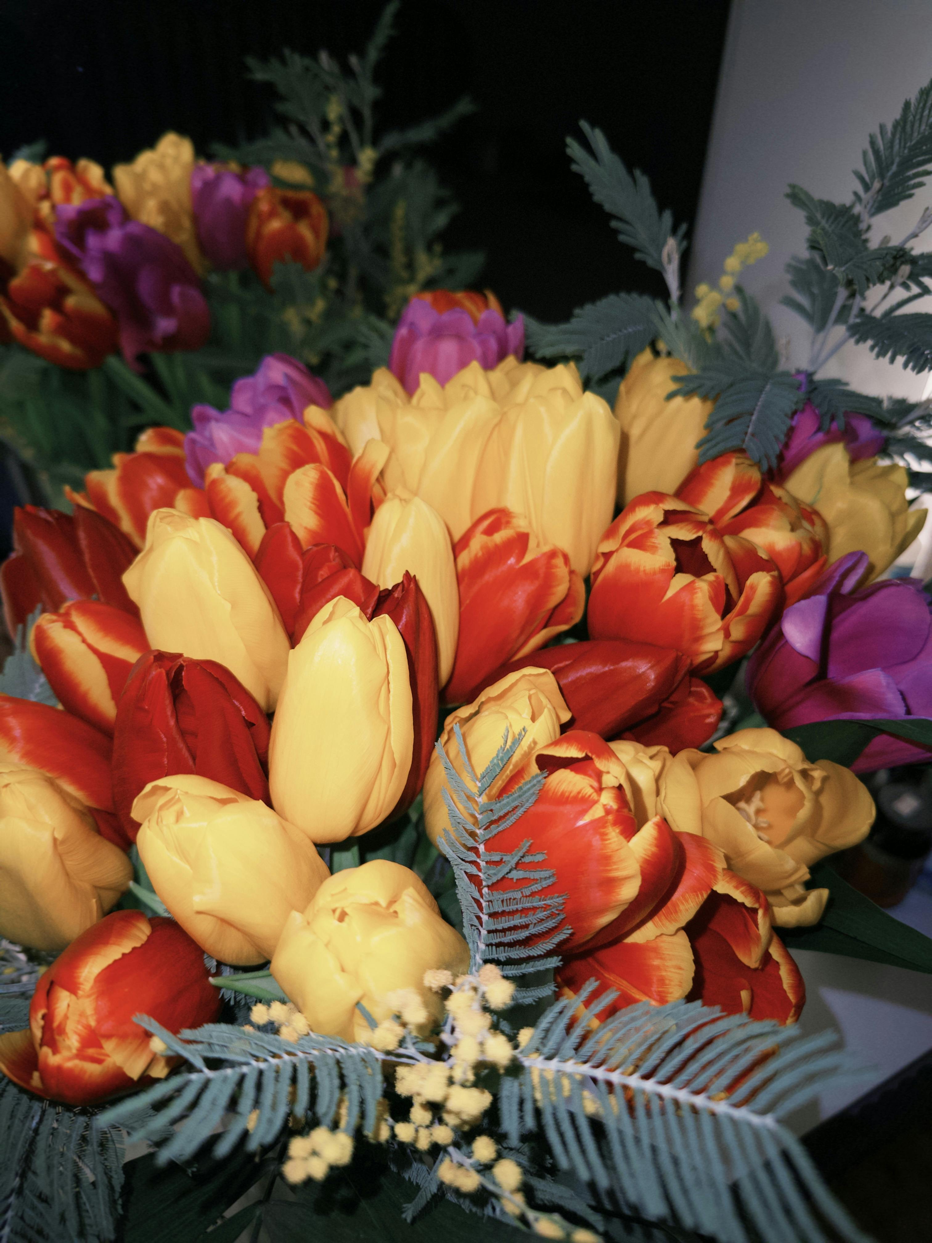 [ColoSach]-colorful-tulip-bouquet-featuring-red,-yellow,-and-purple-blooms-perfect-for-a-vibrant-floral-display.