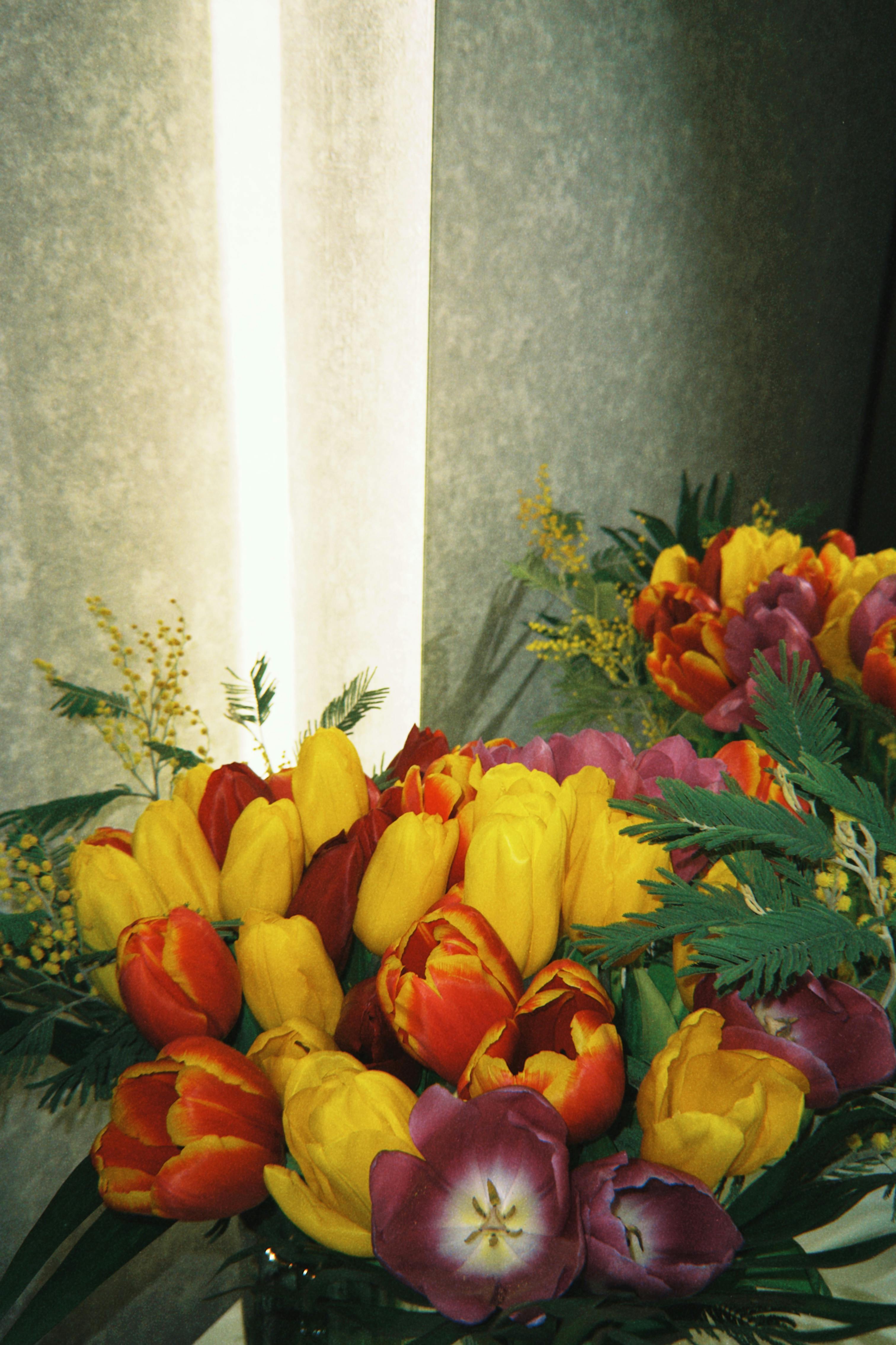 Gratis Fotos de stock gratuitas de arreglo floral, arte botánico, belleza natural Foto de stock