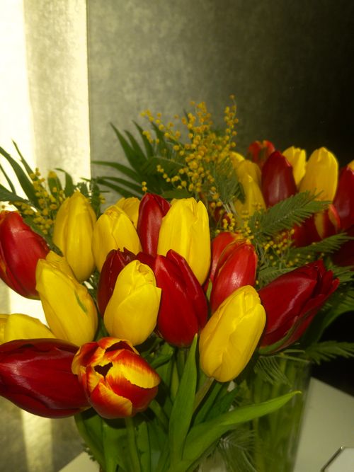 Free A vivid bouquet of red and yellow tulips with greenery, captured in an indoor setting in Dagestan, Russia. Stock Photo