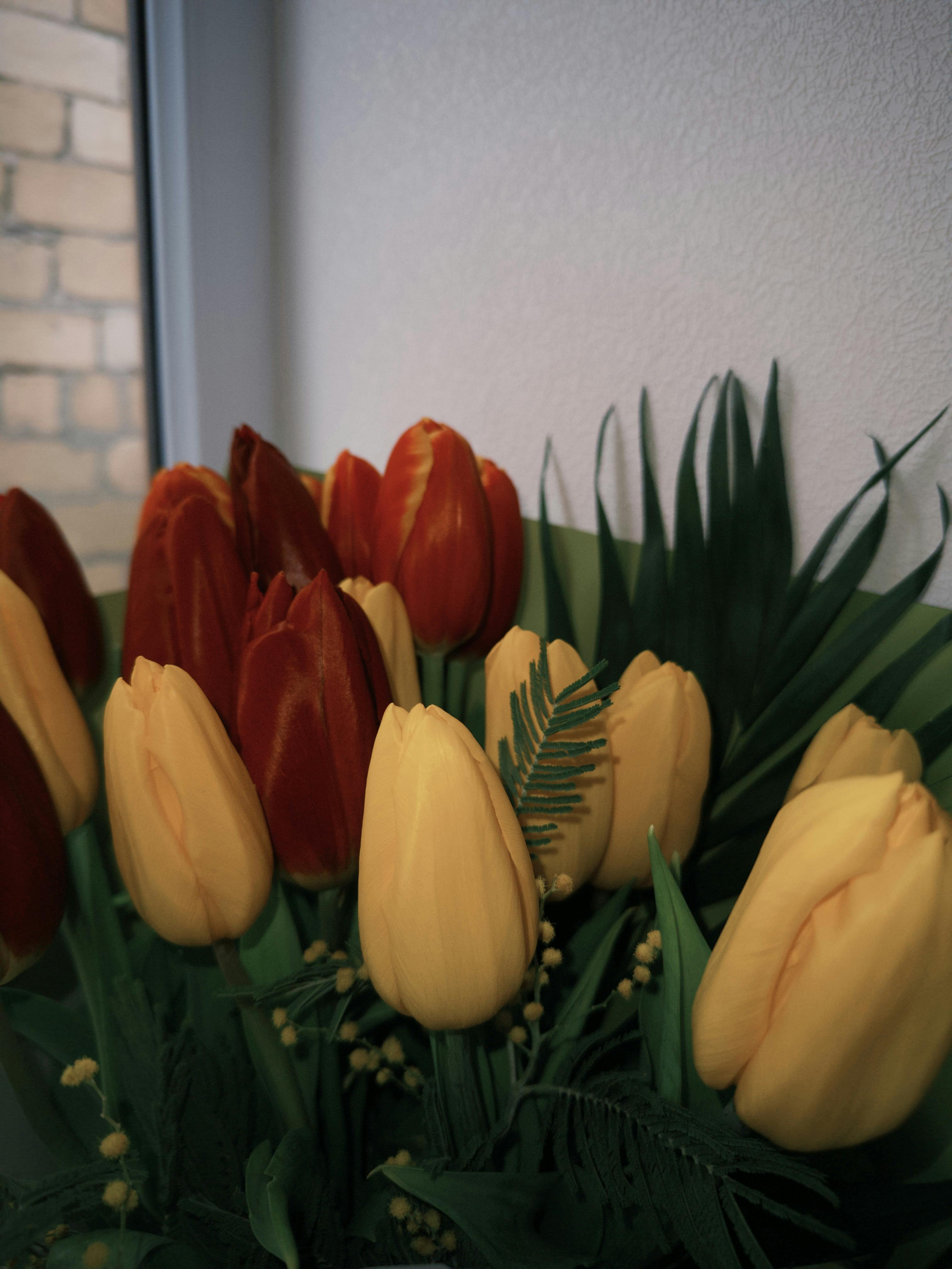 Gratis Fotos de stock gratuitas de arreglo, belleza natural, botánica Foto de stock