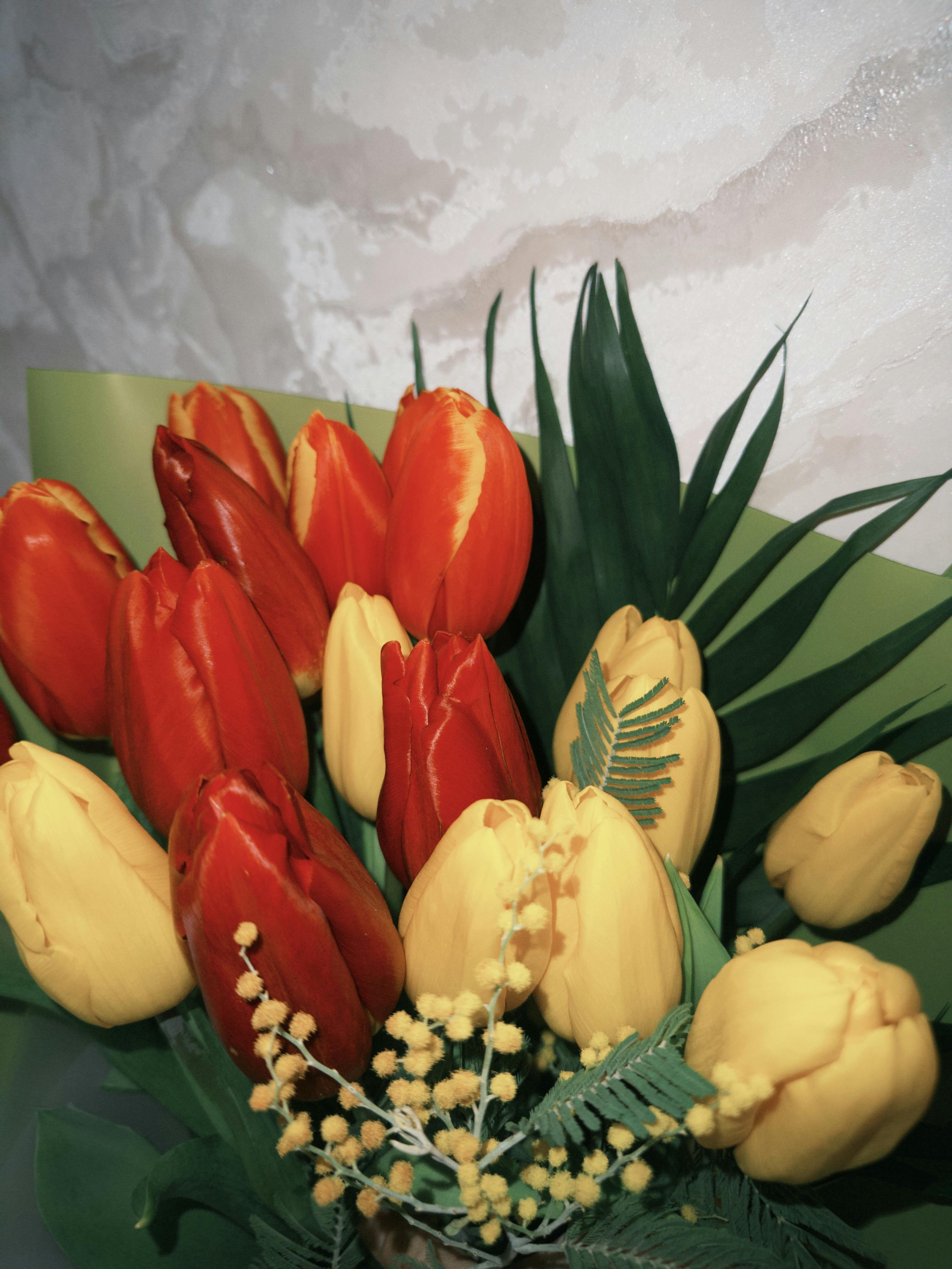 [ColoSach]-a-beautiful-bouquet-of-red-and-yellow-tulips-with-lush-green-leaves,-perfect-for-floral-decor.