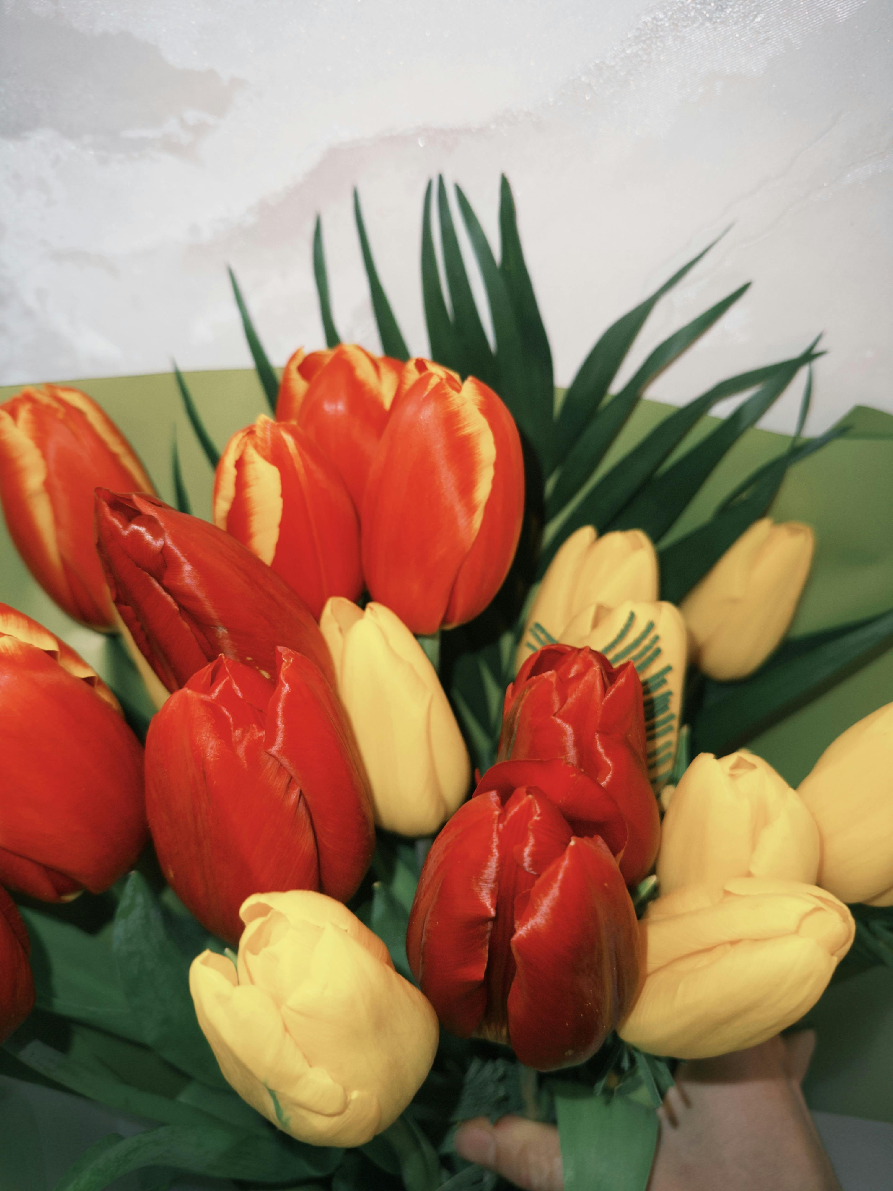 Kostenlos Kostenloses Stock Foto zu blumen, blumen in der vase, blumenarrangement Stock-Foto