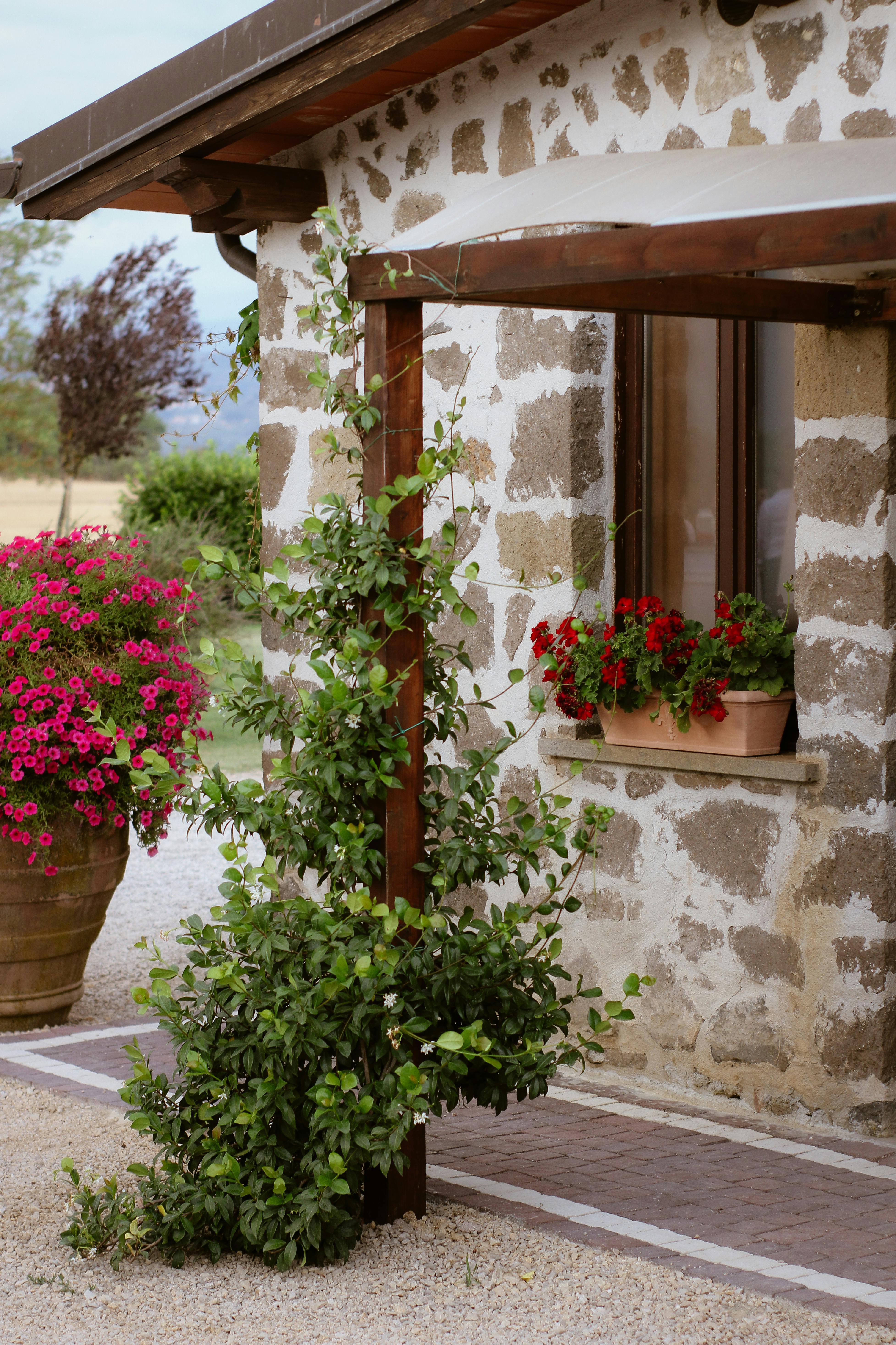 Bezpłatne Malowniczy rustykalny włoski dom z żywymi kwiatami i tradycyjną kamieniarską konstrukcją. Zdjęcie z galerii