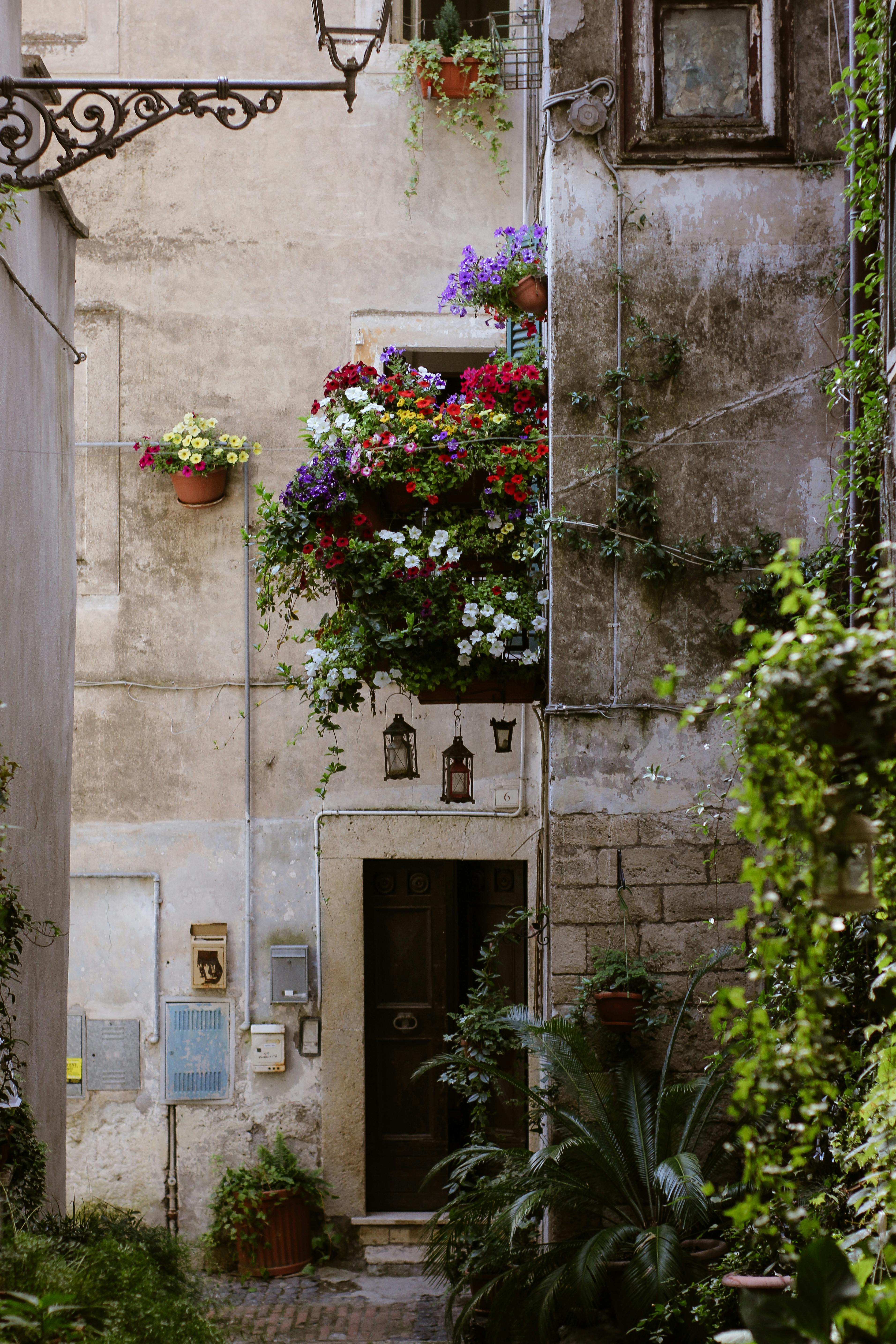 免费 探索风景如画的意大利小巷，那里鲜花盛开，从古朴的阳台上倾泻而下。 素材图片