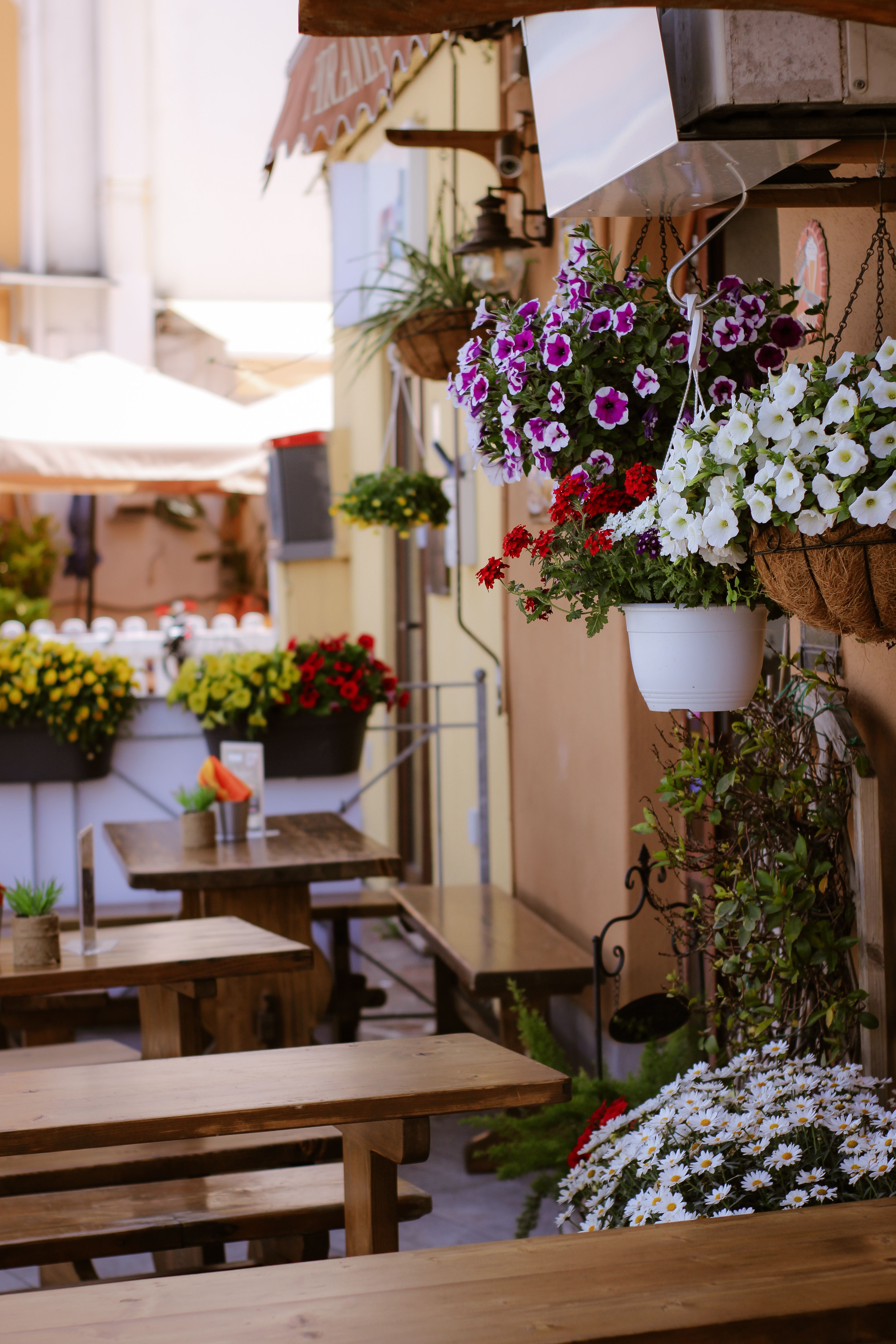 Charming Italian Outdoor Café with Flower Decor · Free Stock Photo