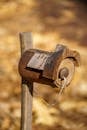 Rustic Wooden Mailbox in Autumn Setting