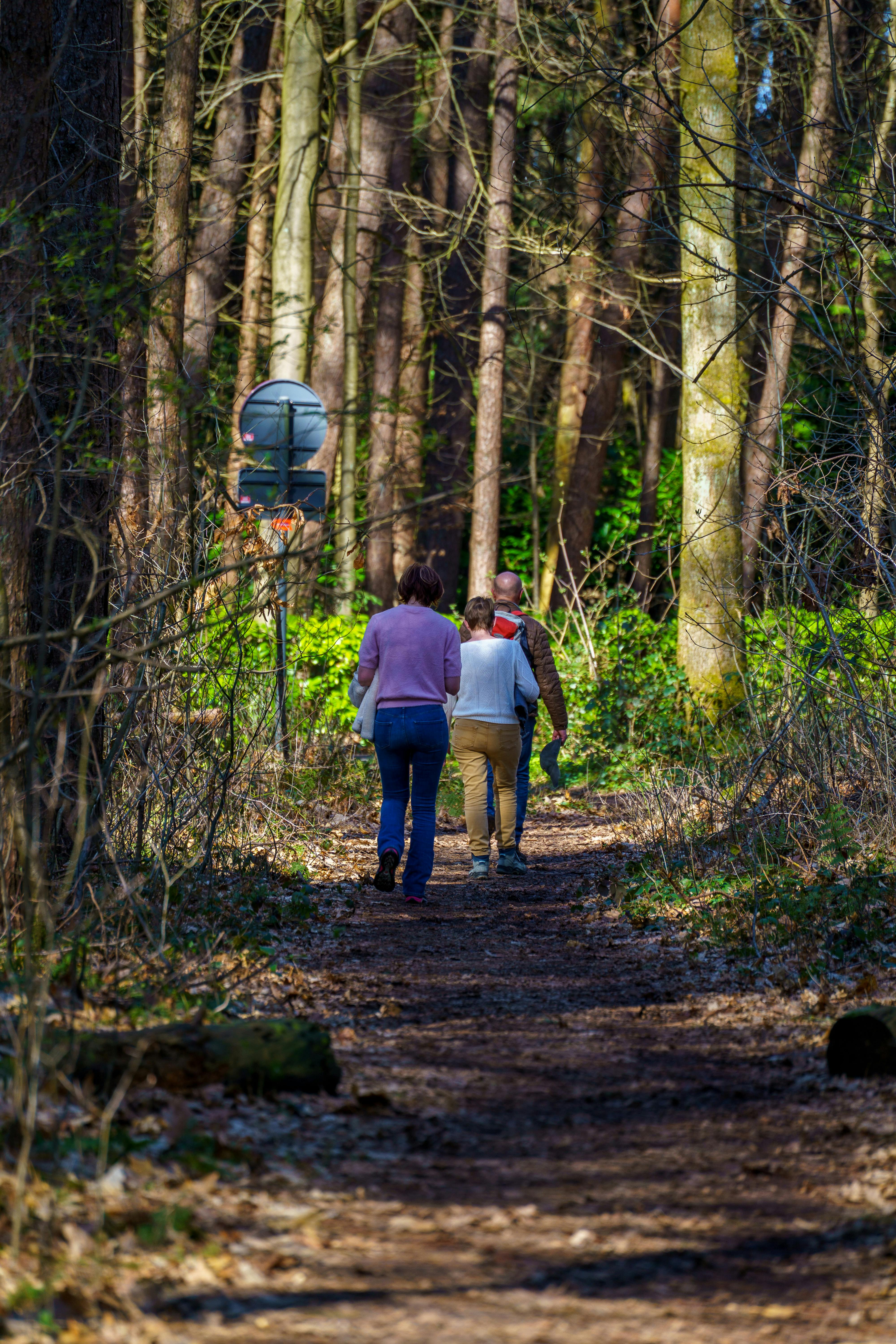 grátis Um casal caminhando por uma trilha na floresta em um dia ensolarado de primavera em Grobbendonk, Bélgica. Foto profissional
