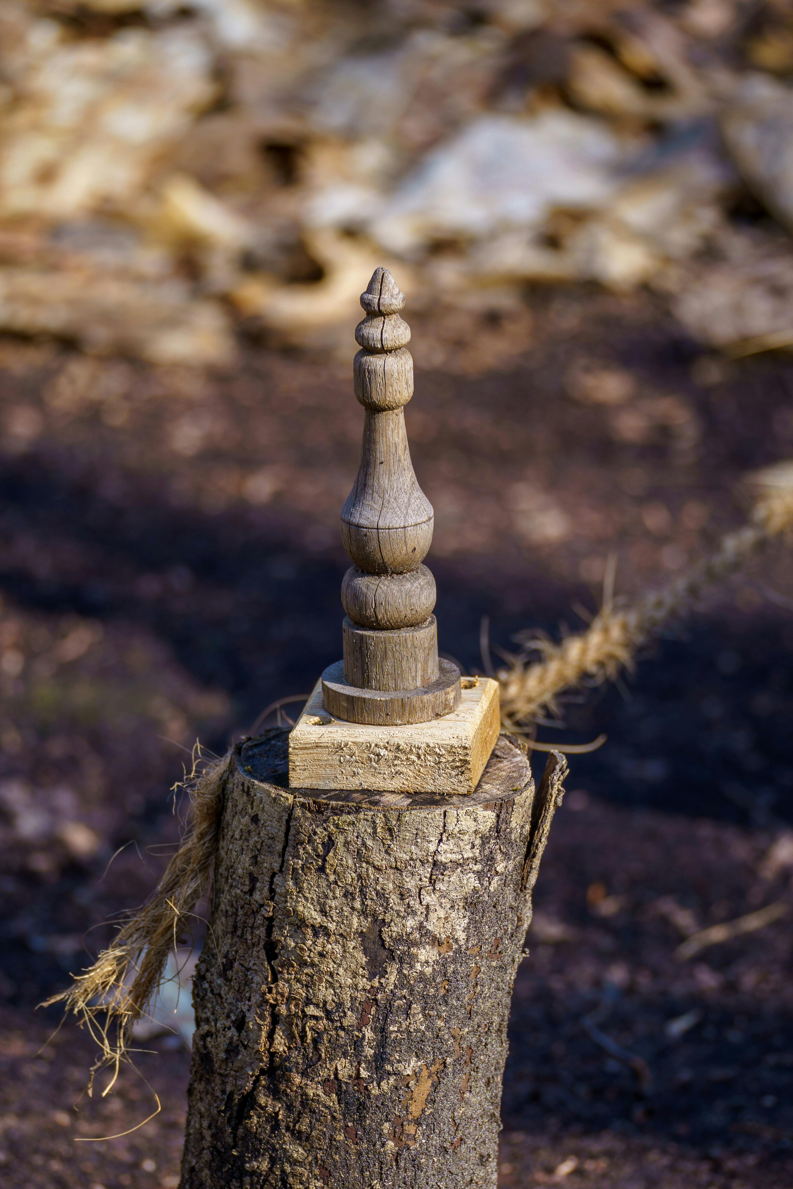 grátis Escultura de madeira com entalhes intrincados, erguida sobre um toco de árvore, em meio a um ambiente natural ao ar livre em Grobbendonk. Foto profissional