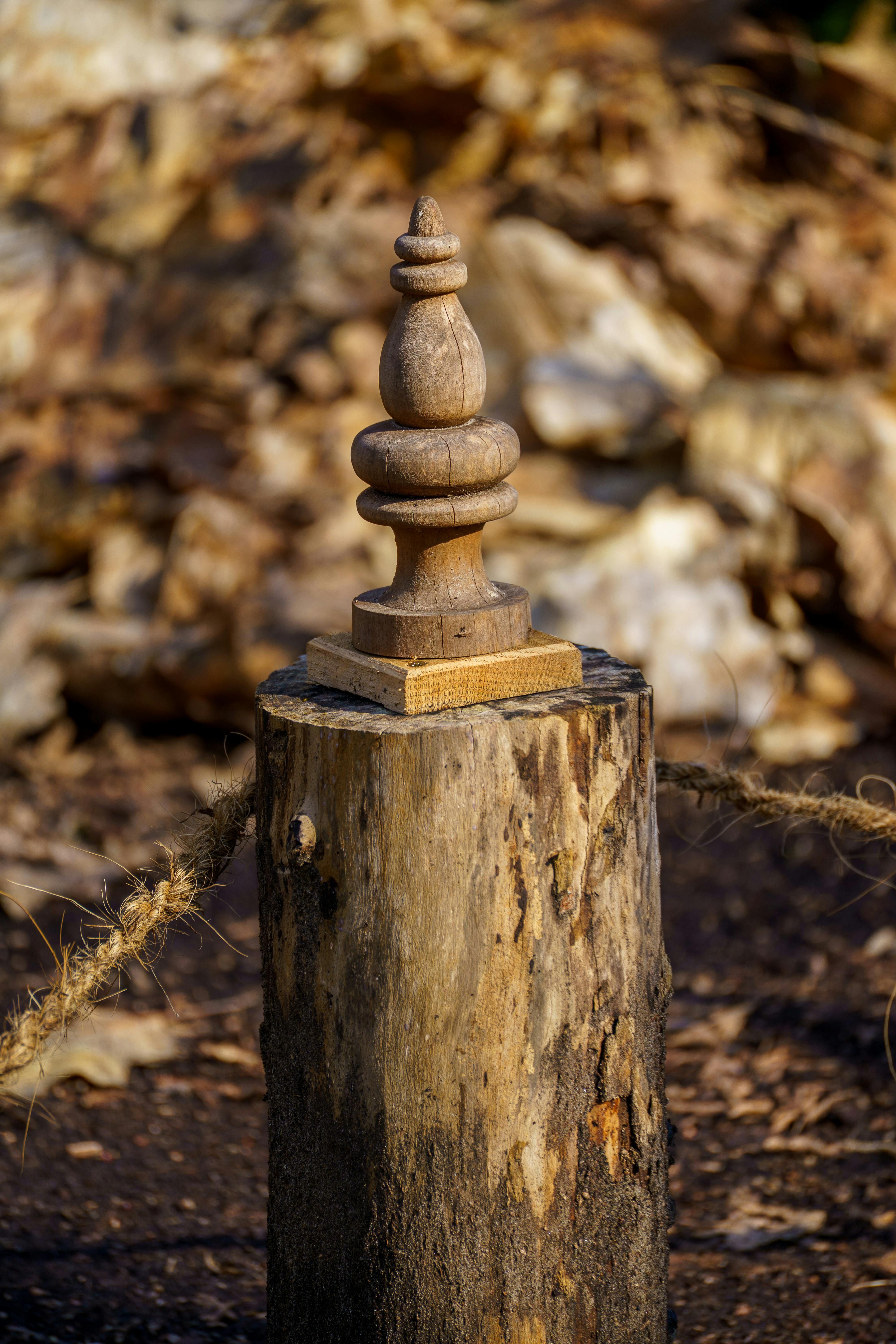 grátis Uma escultura de madeira sobre um tronco de árvore em meio a folhas caídas, capturada em um cenário de outono. Foto profissional