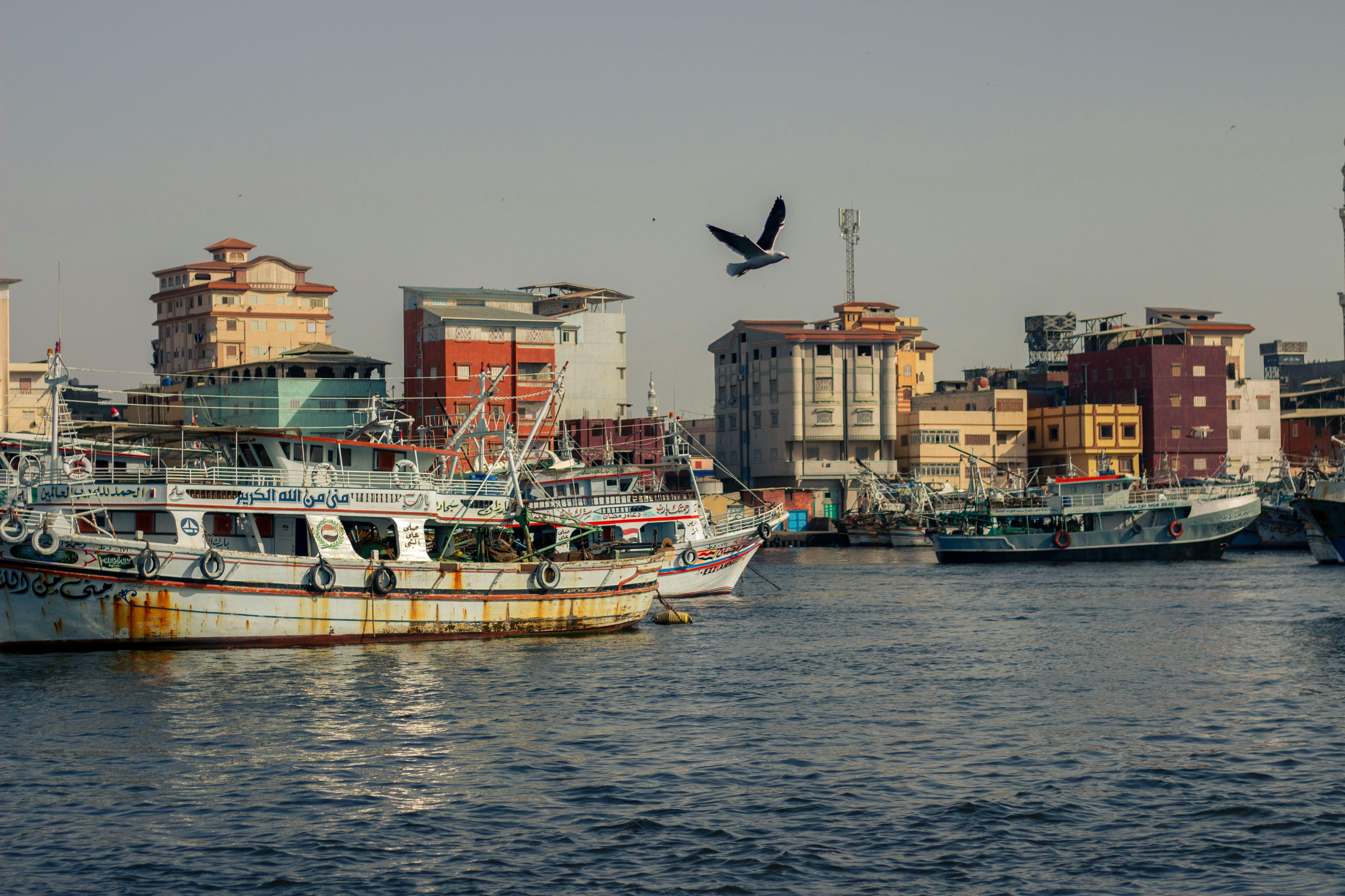 免费 中东建筑, 交換, 商业捕鱼 的 免费素材图片 素材图片