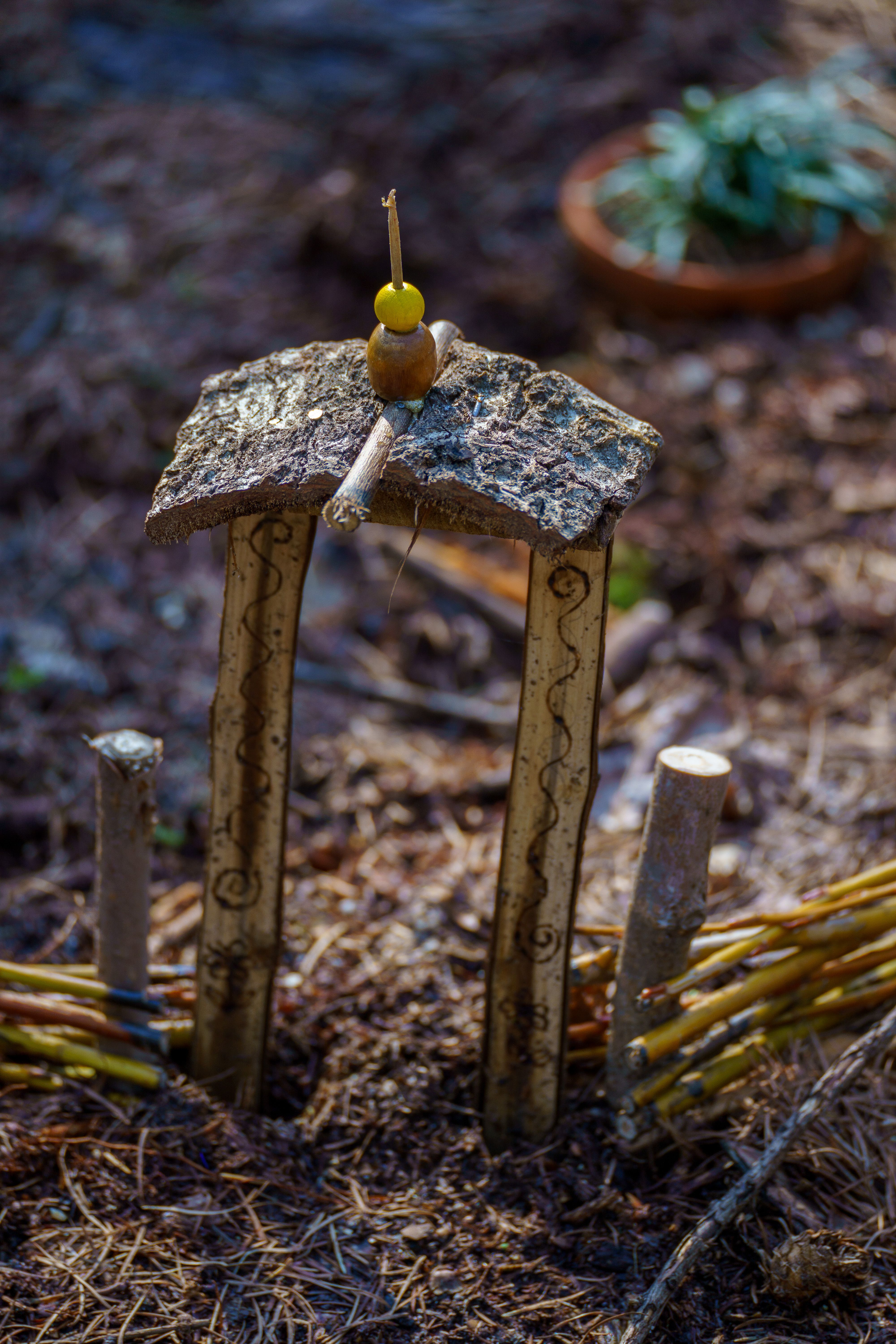 Nature-Inspired DIY Miniature Structure in Forest Setting · Free Stock ...