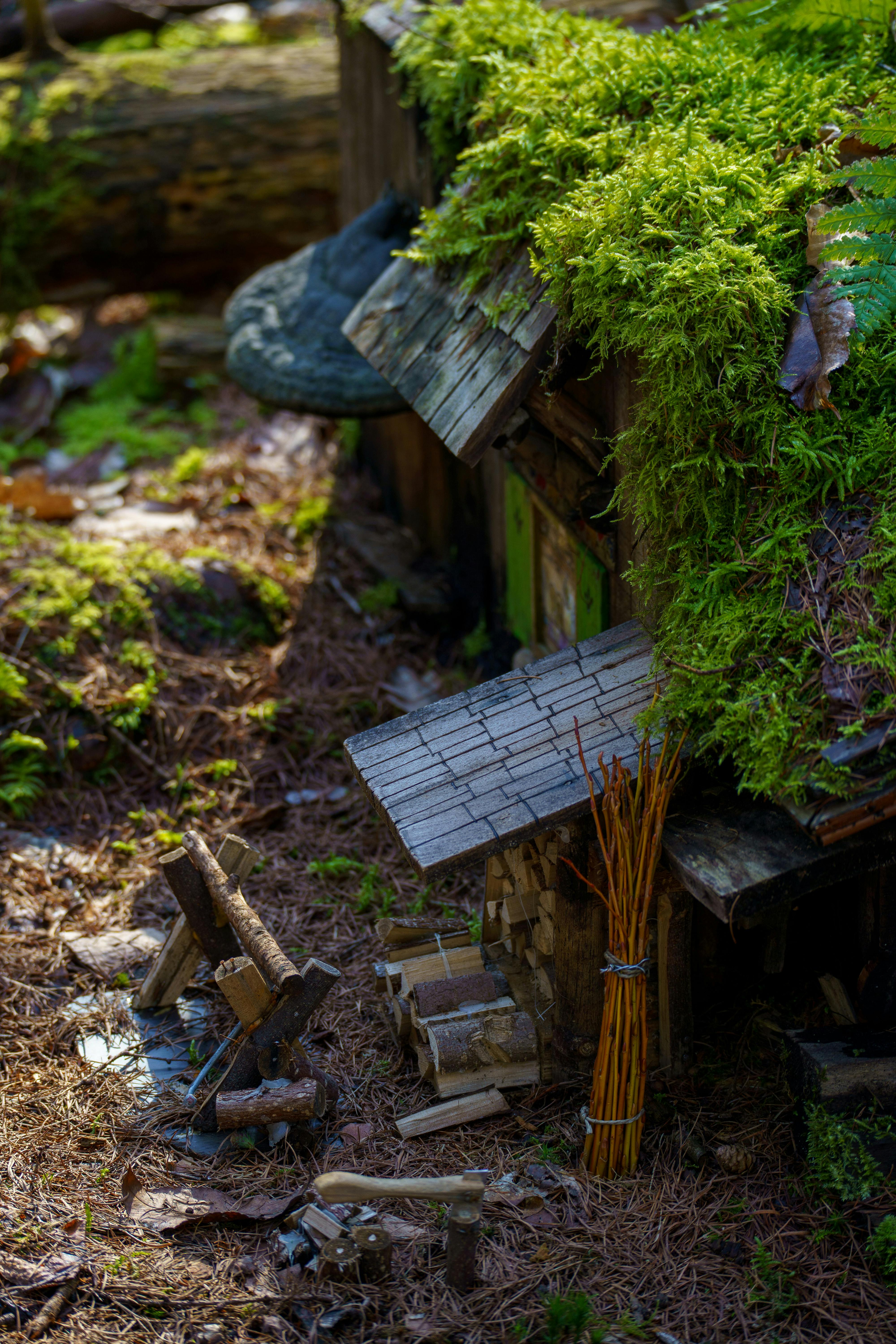 grátis Uma encantadora casa em miniatura com telhado de musgo, rodeada por texturas de bosque em Grobbendonk, Bélgica. Foto profissional