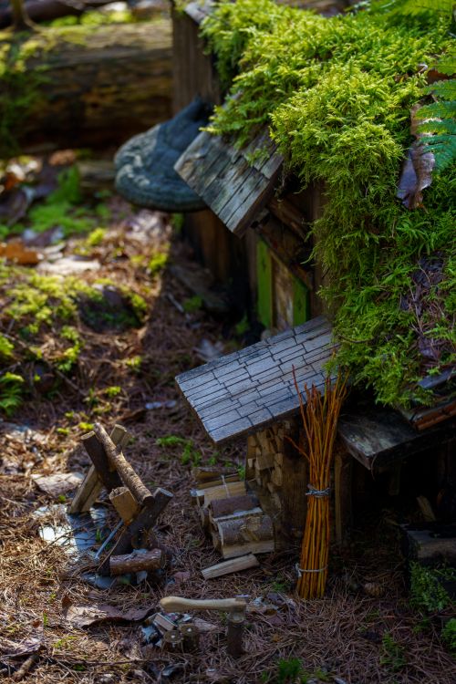Free A charming miniature house with moss roof surrounded by woodland textures in Grobbendonk, Belgium. Stock Photo