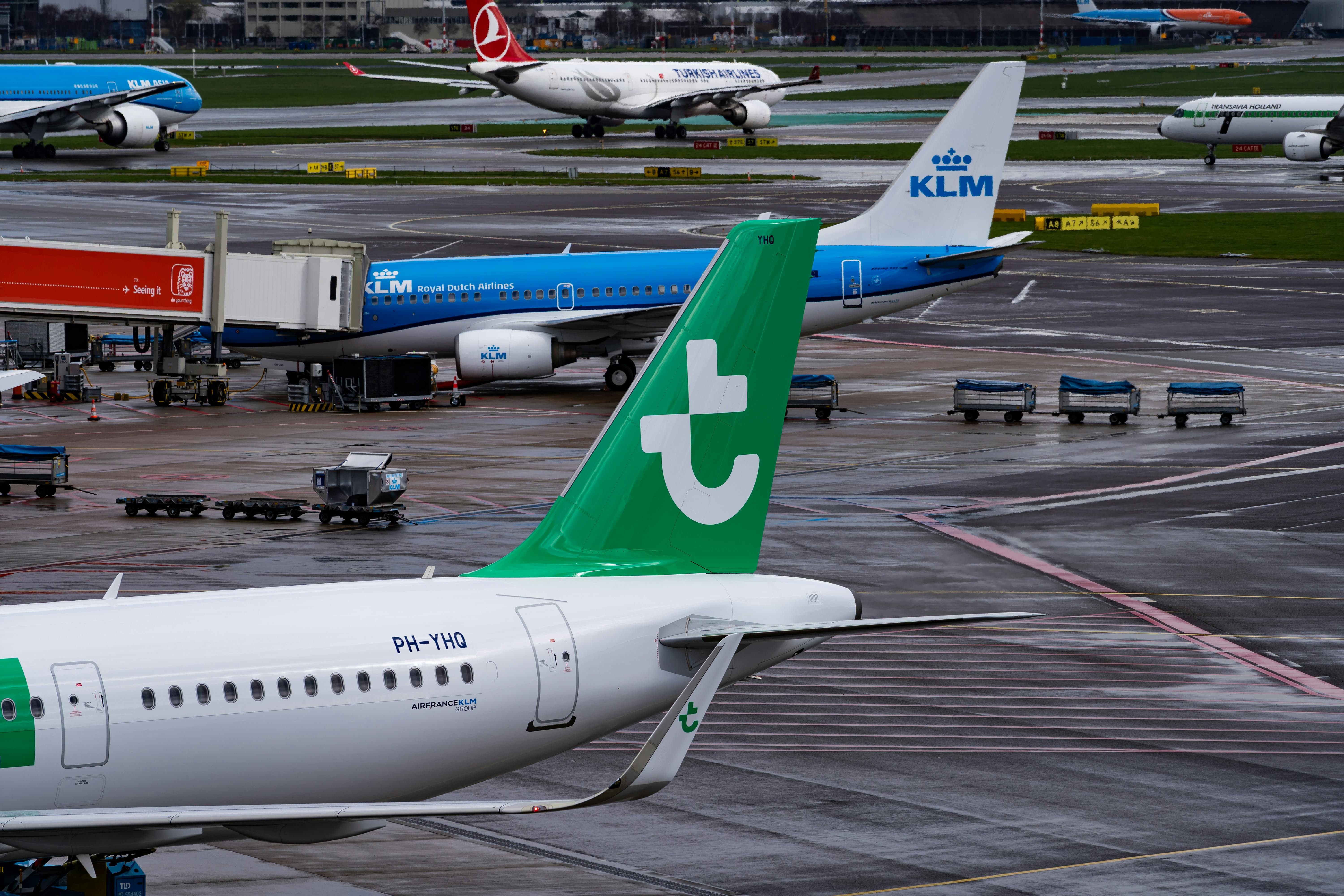 免费 繁忙的机场跑道上起降着包括荷兰皇家航空和土耳其航空在内的多家航空公司的飞机。 素材图片