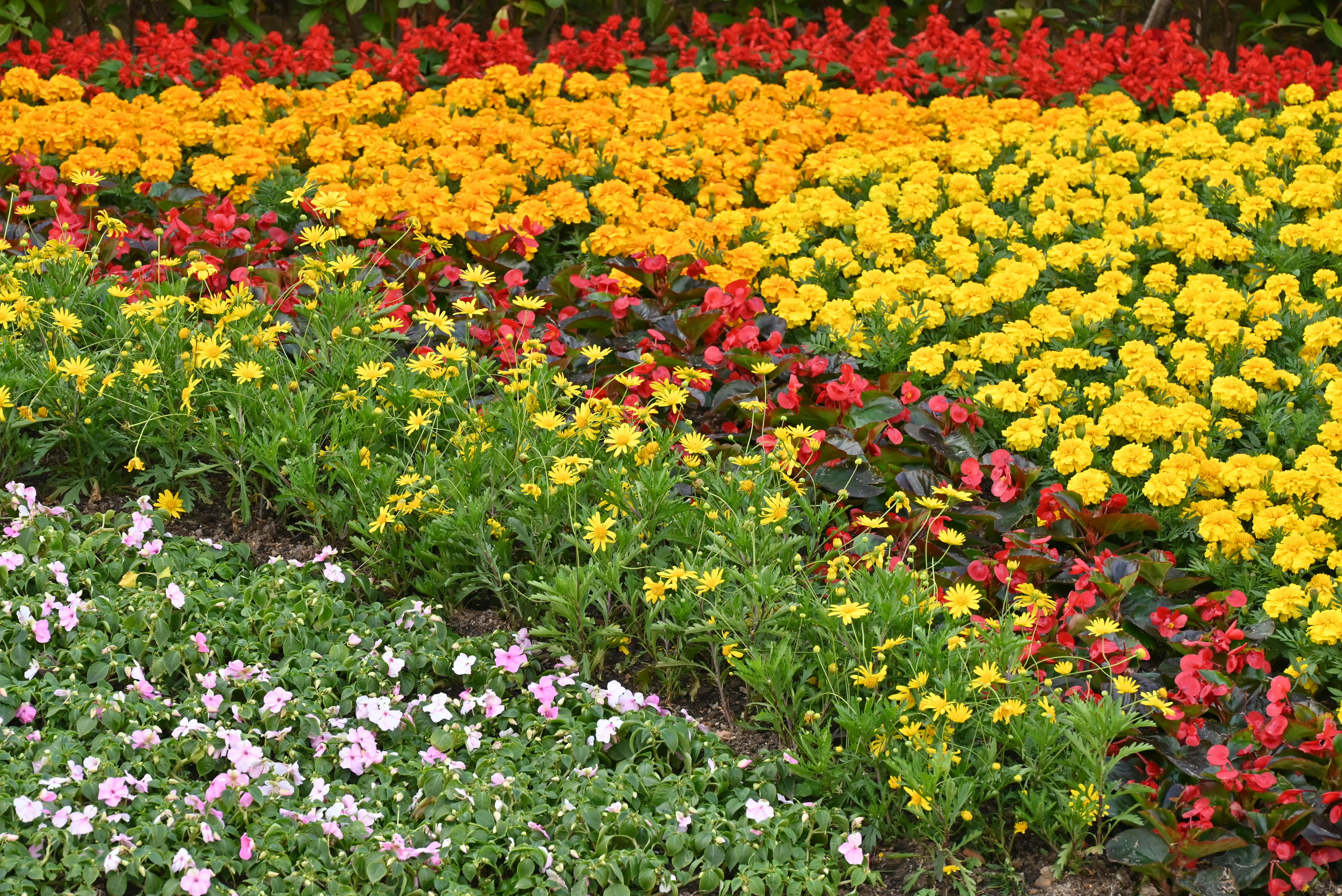 Paysagiste à votre ville - Askaide