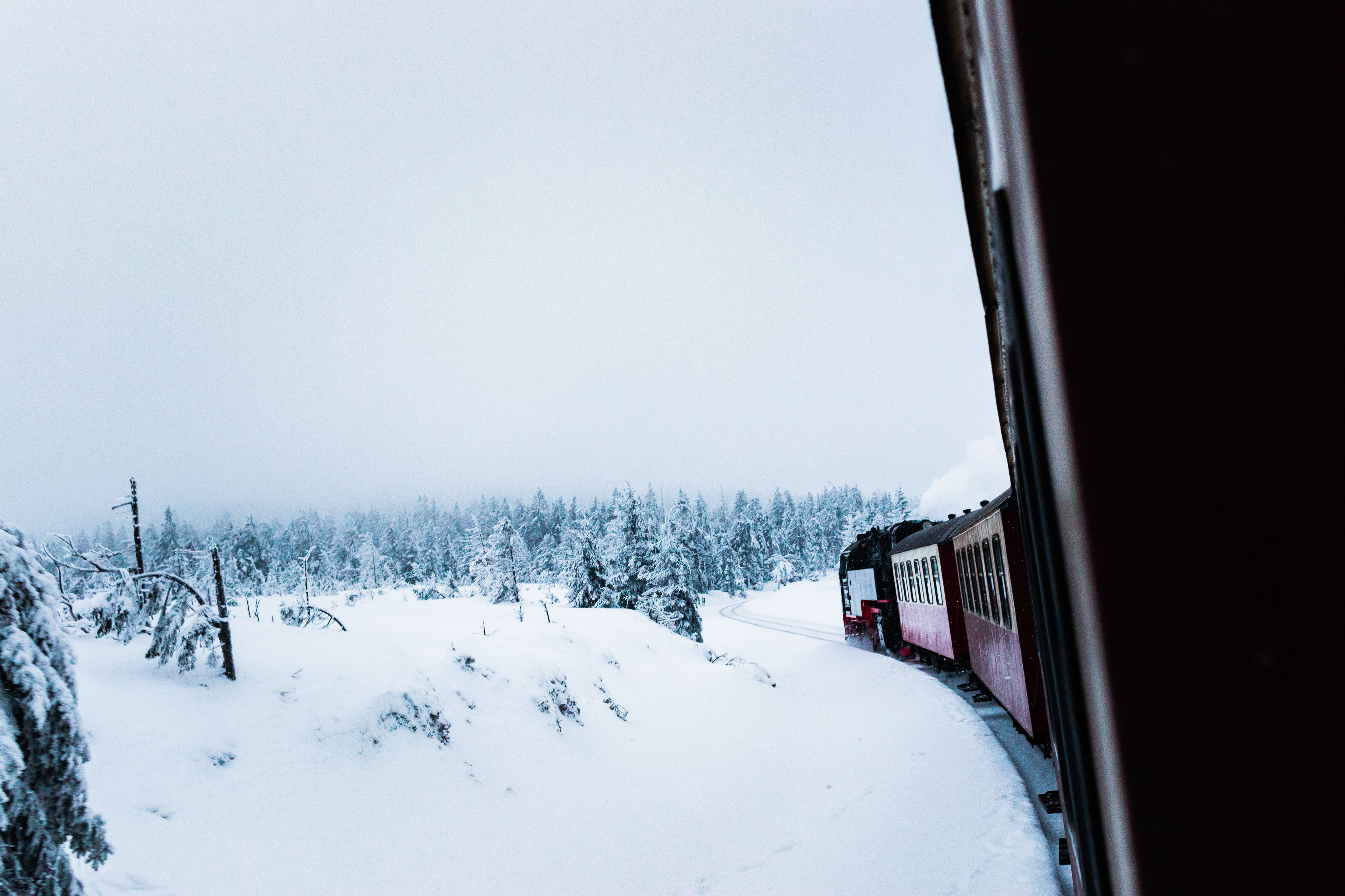 Winter Train Journey Through Snowy Forest · Free Stock Photo