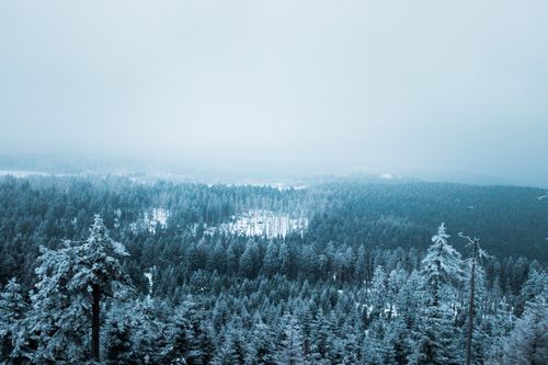 Free A stunning aerial view of a dense forest blanketed in snow, showcasing the serene beauty of winter. Stock Photo