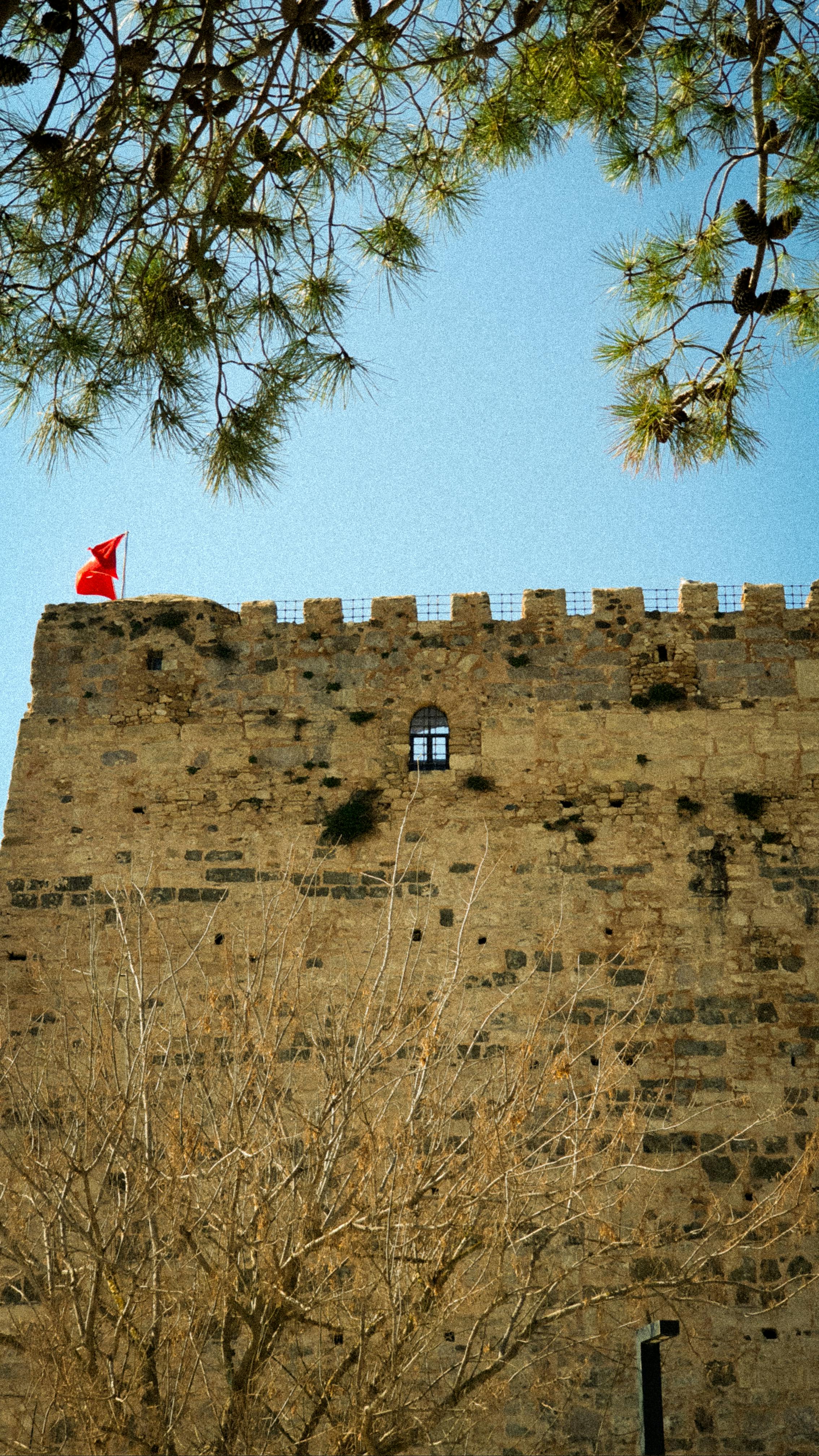 Ingyenes stockfotó Áçıksaray, ágak, amasya témában Stockfotó