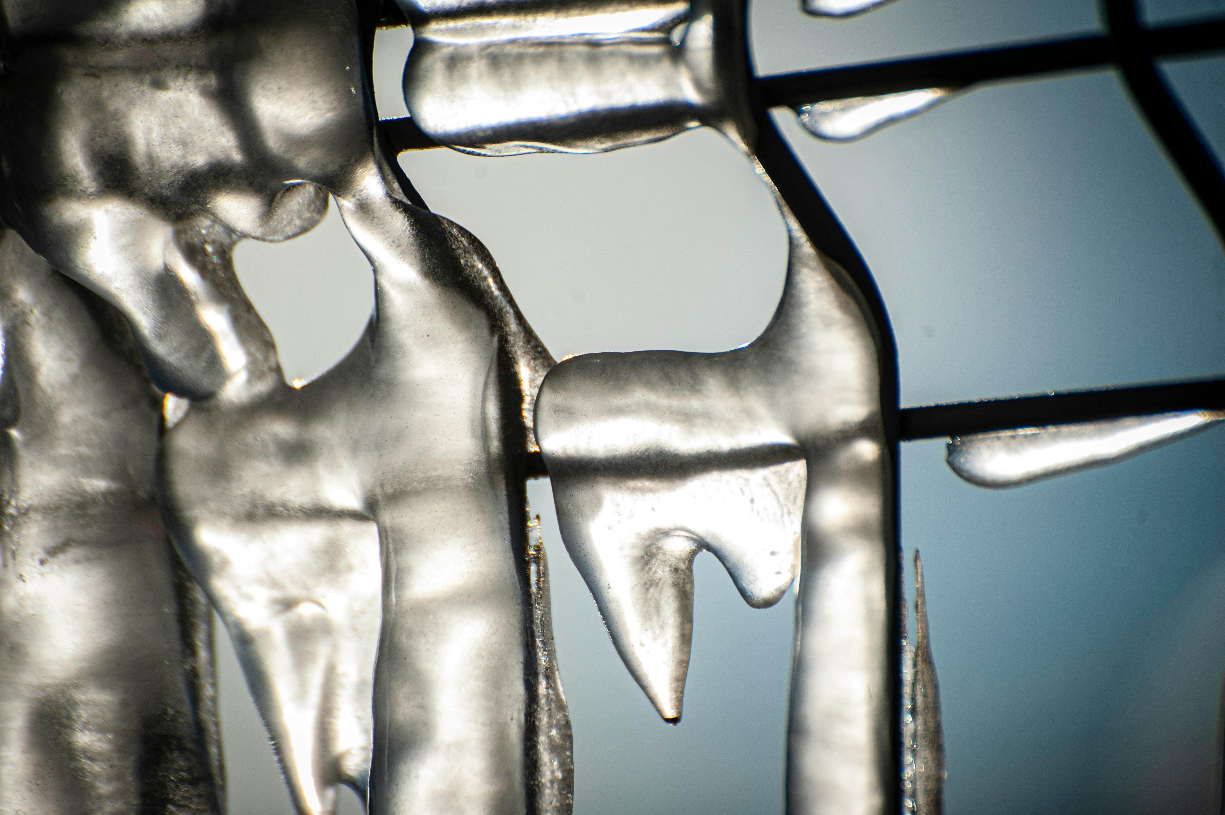 bezplatná Detailní abstraktní obraz zachycující složité ledové útvary na kovovém plotě pod slunečním světlem. Základová fotografie