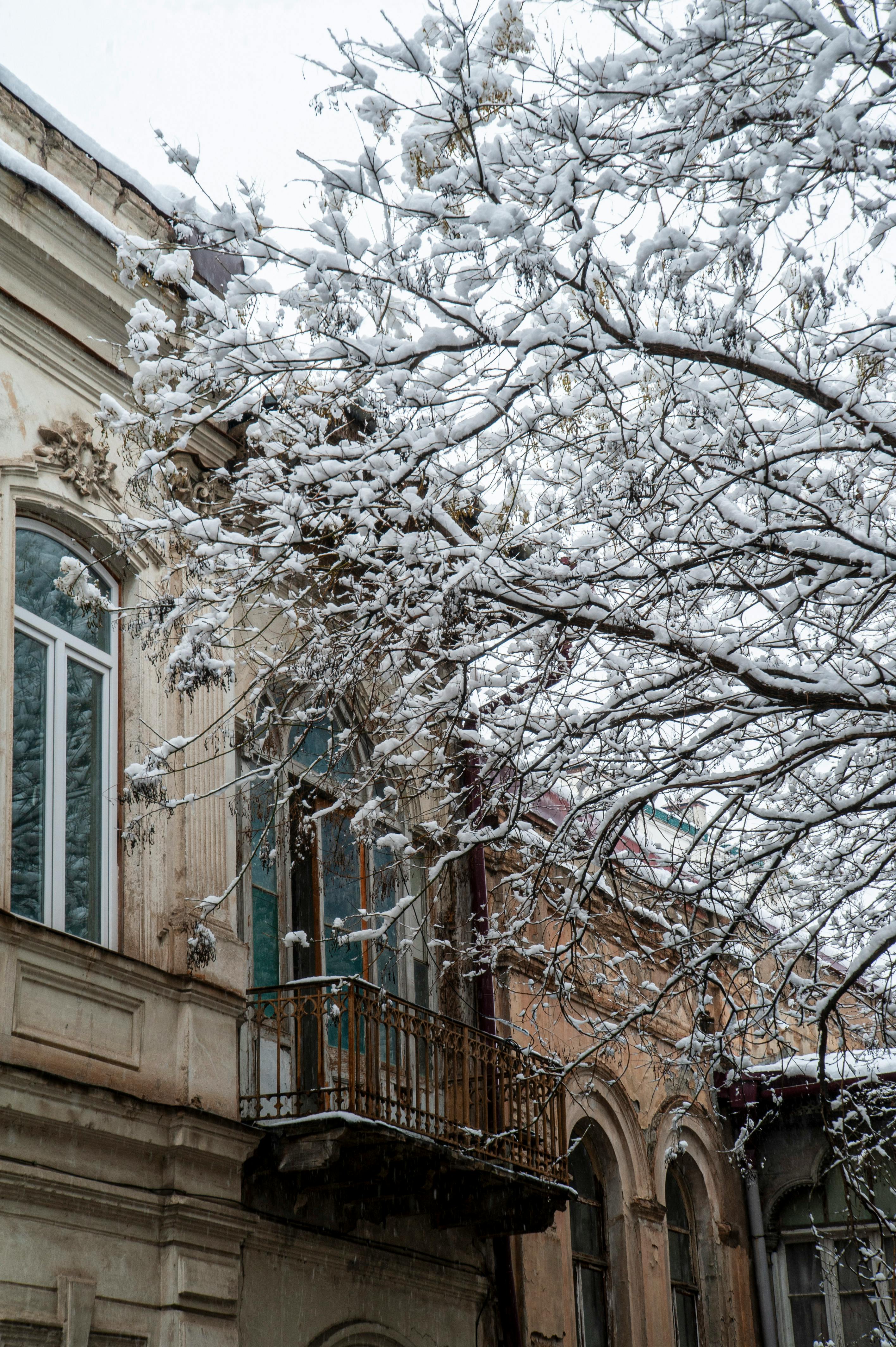 Miễn phí Tòa nhà lịch sử quyến rũ ở Tbilisi được bao phủ bởi tuyết, thể hiện vẻ đẹp của mùa đông. Ảnh lưu trữ