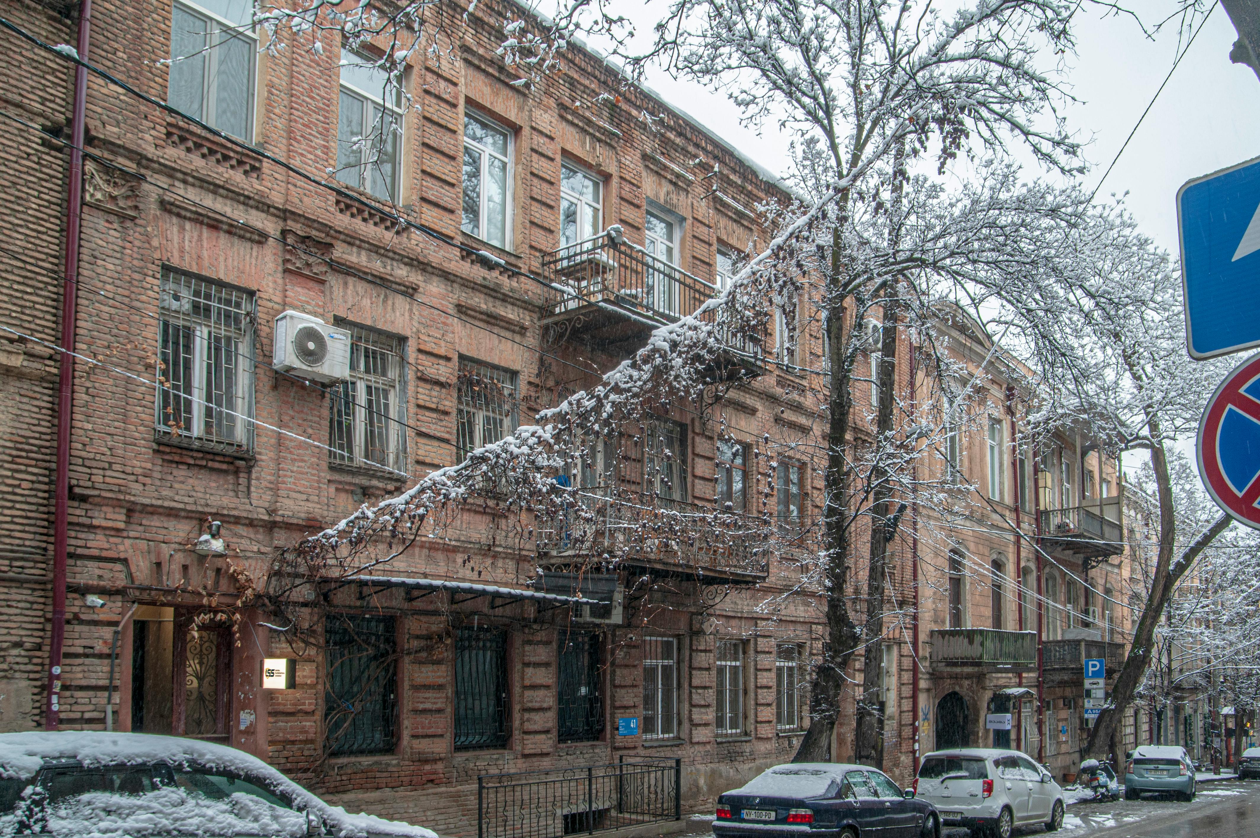 Boutique Oasis Hostel hostel in Shymkent