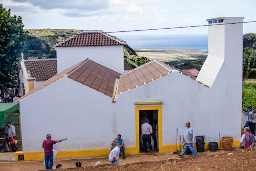 Foto profissional grátis de amarelo, animada, ao ar livre