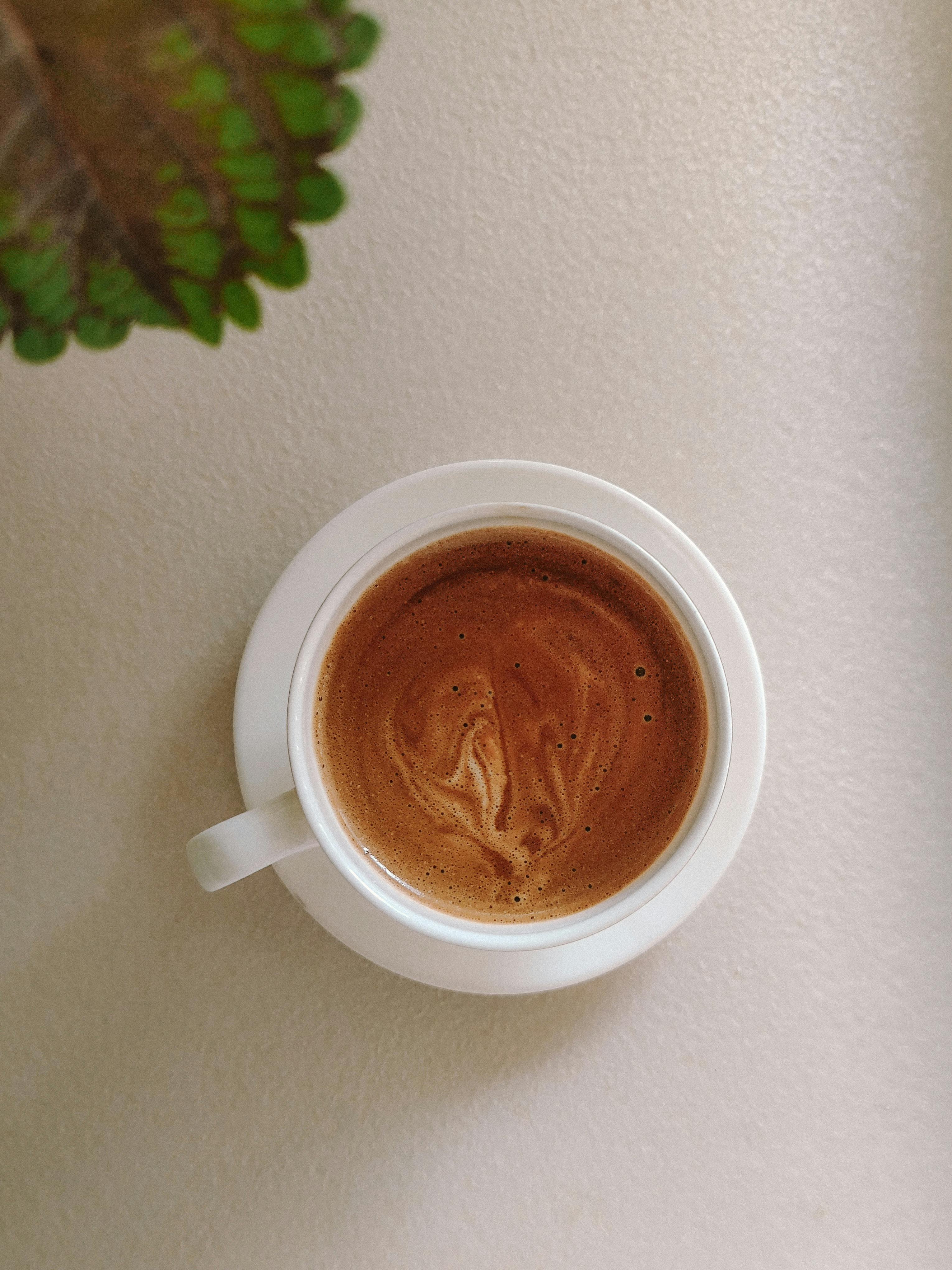 免费 从上往下看，一杯热腾腾的浓缩咖啡盛在白色杯子里，放在桌子上，旁边还有一盆植物。 素材图片