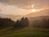 Sunlight breaks through clouds over misty mountains and coniferous forests in Austria during a summer rain.