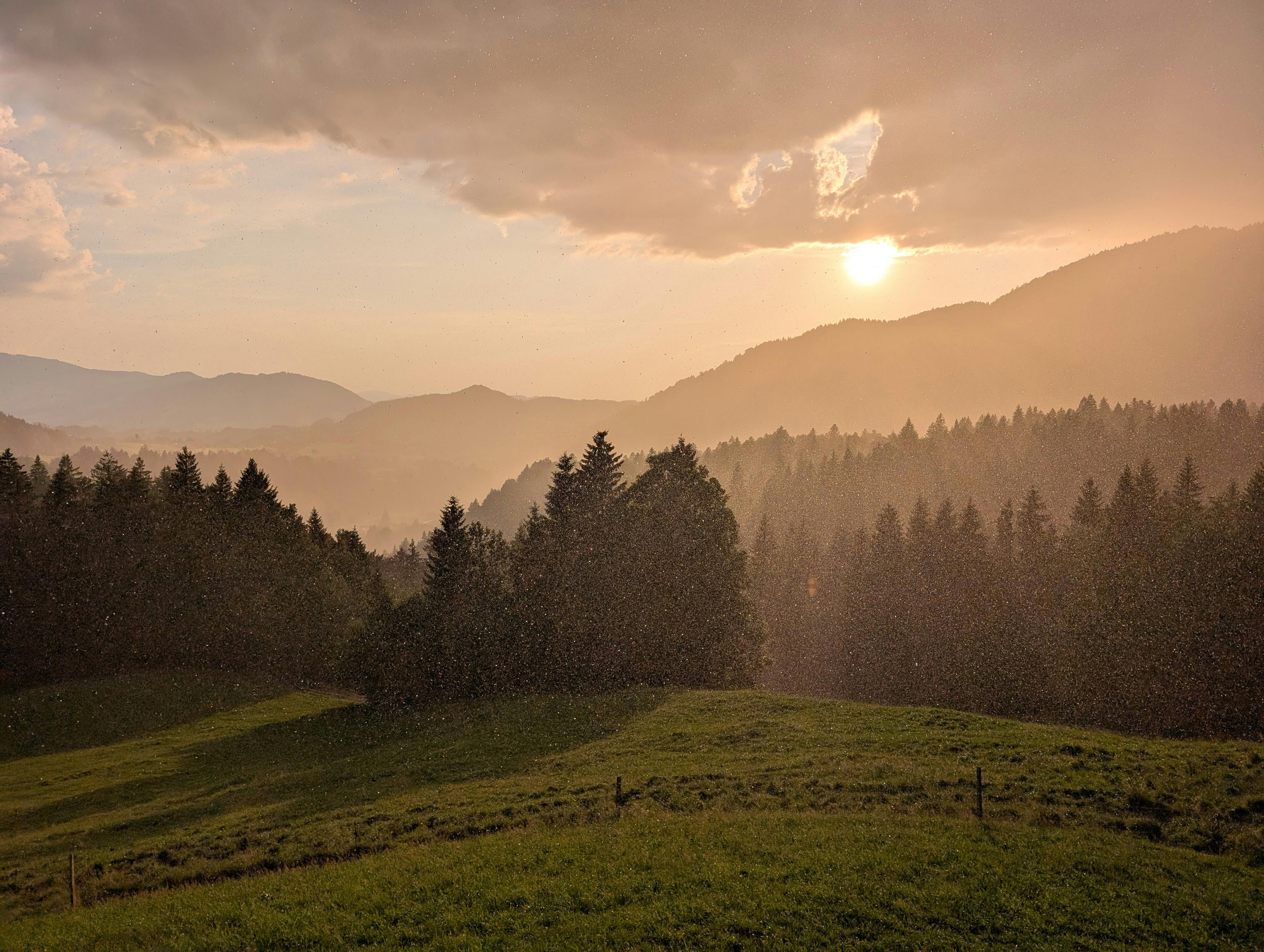 gratis Tijdens een zomerse regenbui breekt de zon door de wolken boven mistige bergen en naaldbossen in Oostenrijk. Stockfoto