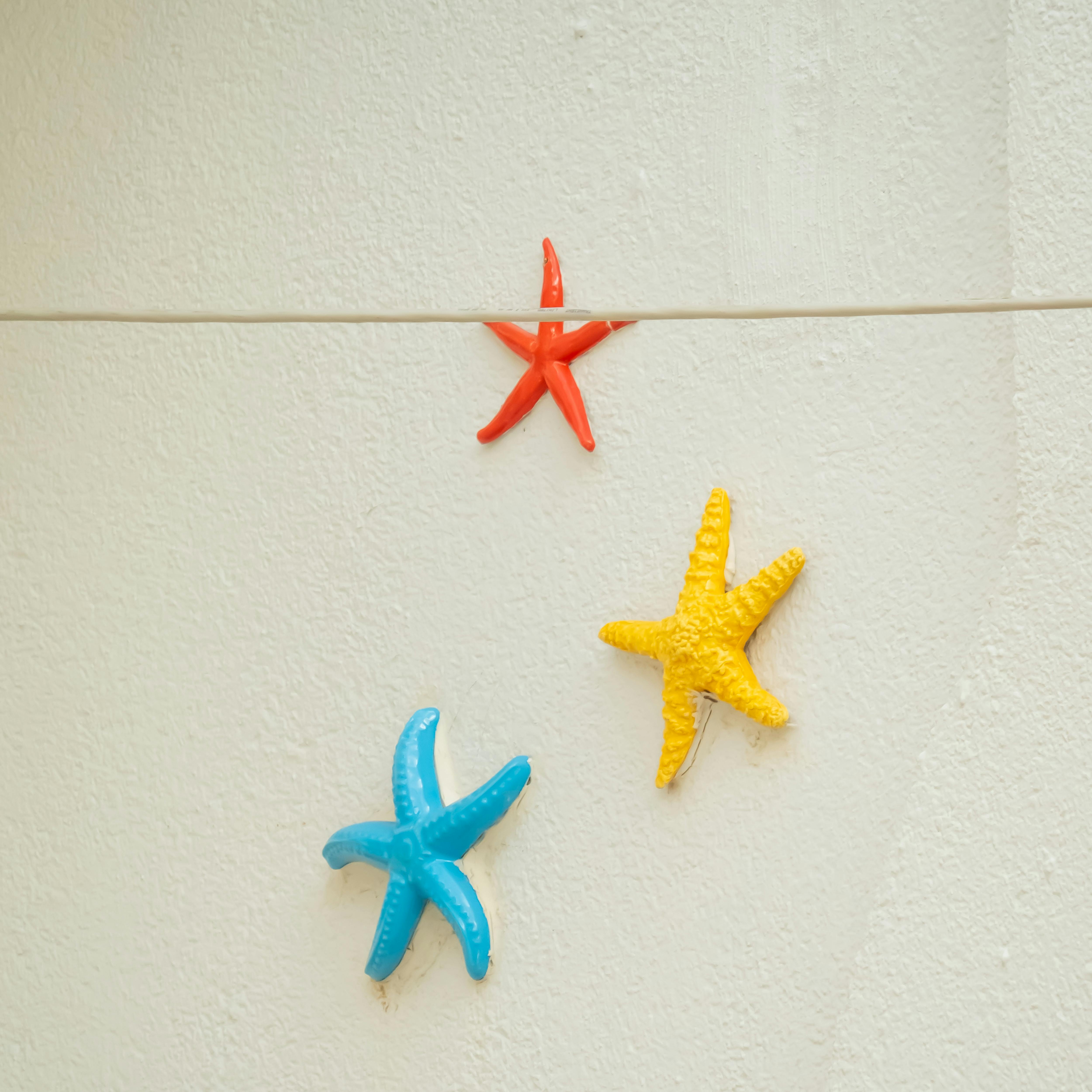 Miễn phí Những hình trang trí sao biển màu đỏ, xanh dương và vàng rực rỡ trên bức tường trắng có bề mặt nhám, trong không gian nội thất. Ảnh lưu trữ