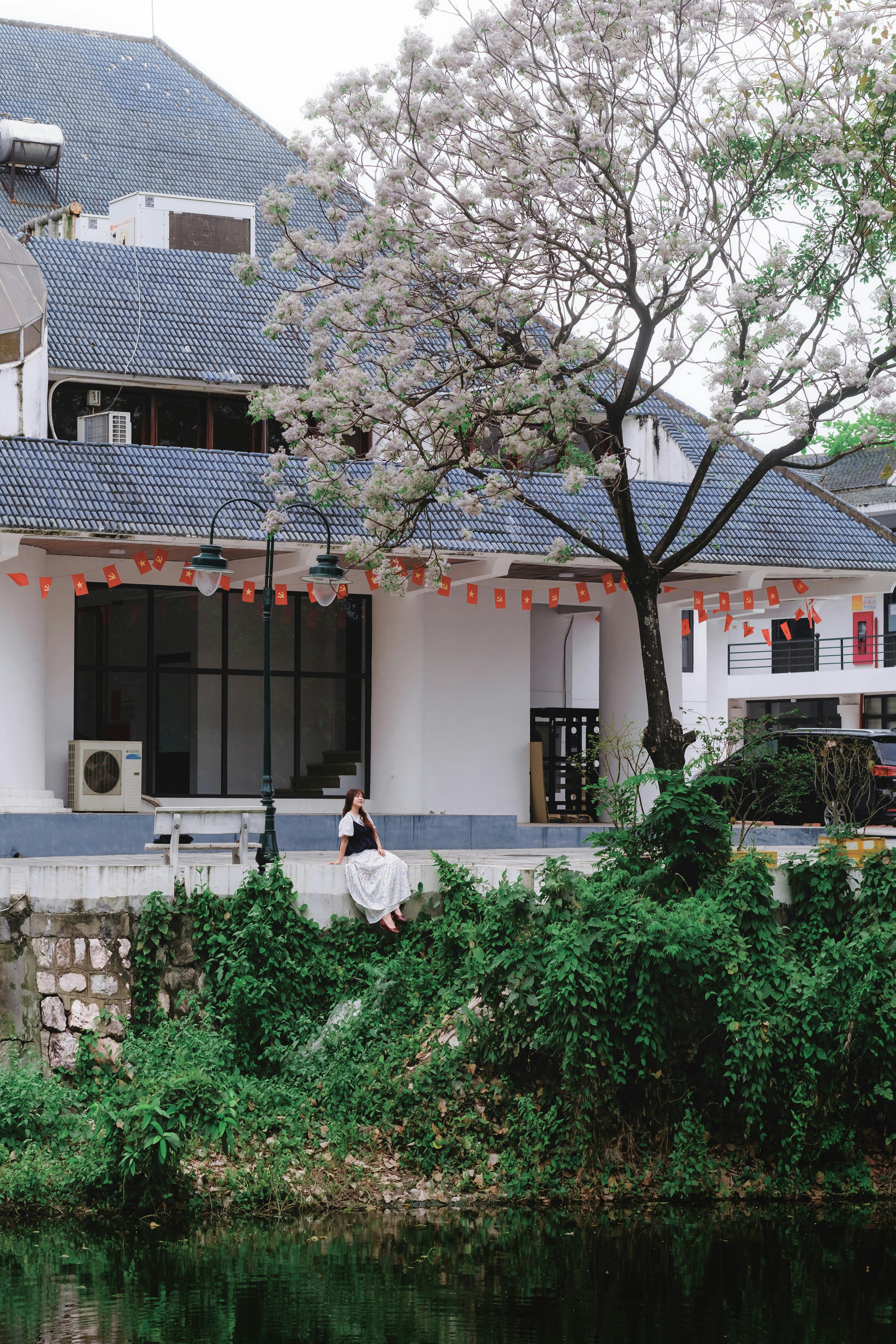 Bezpłatne Spokojny widok na brzeg rzeki i kobietę siedzącą pod drzewem w Hanoi, Wietnam. Zdjęcie z galerii