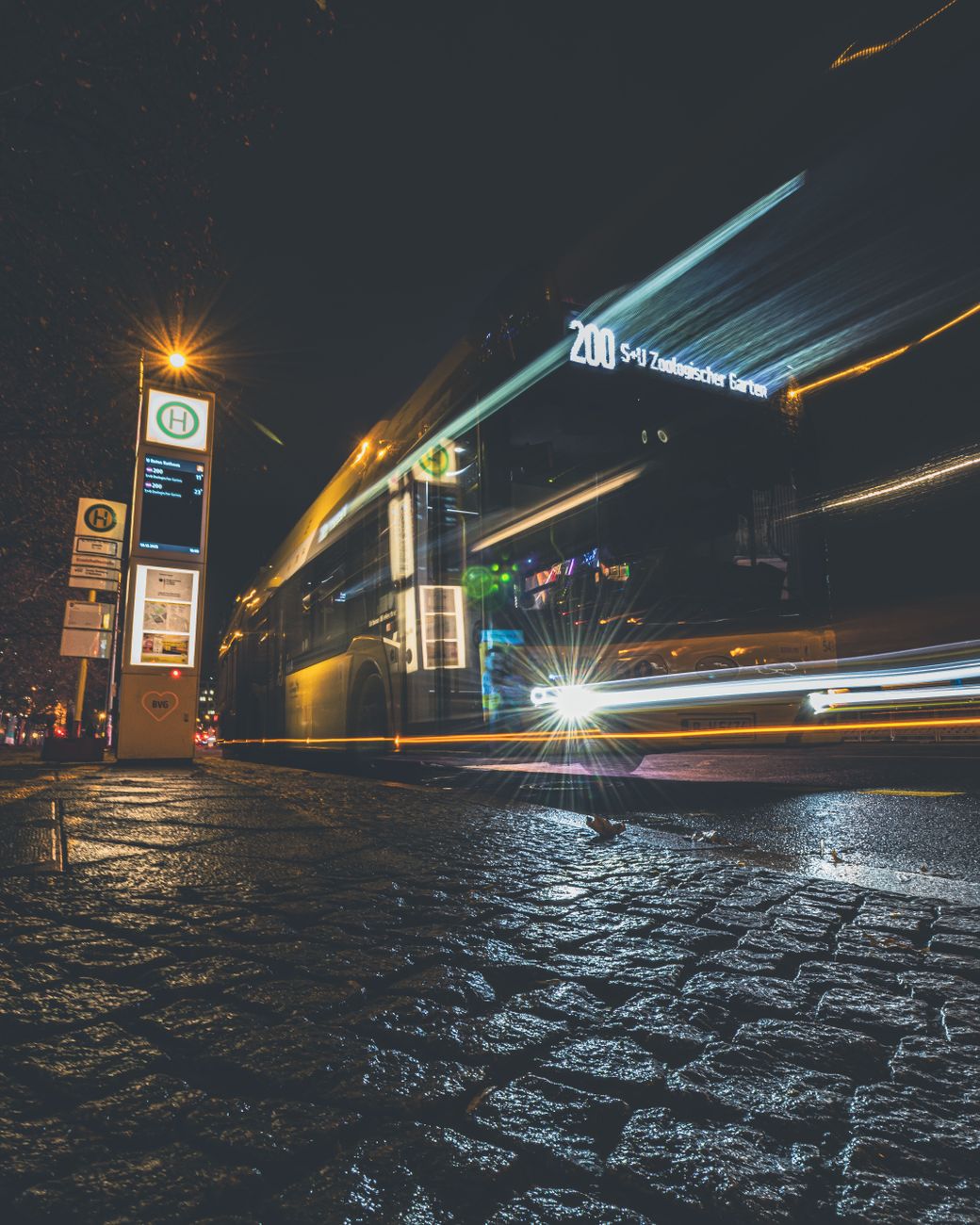 pexels photo 36583401