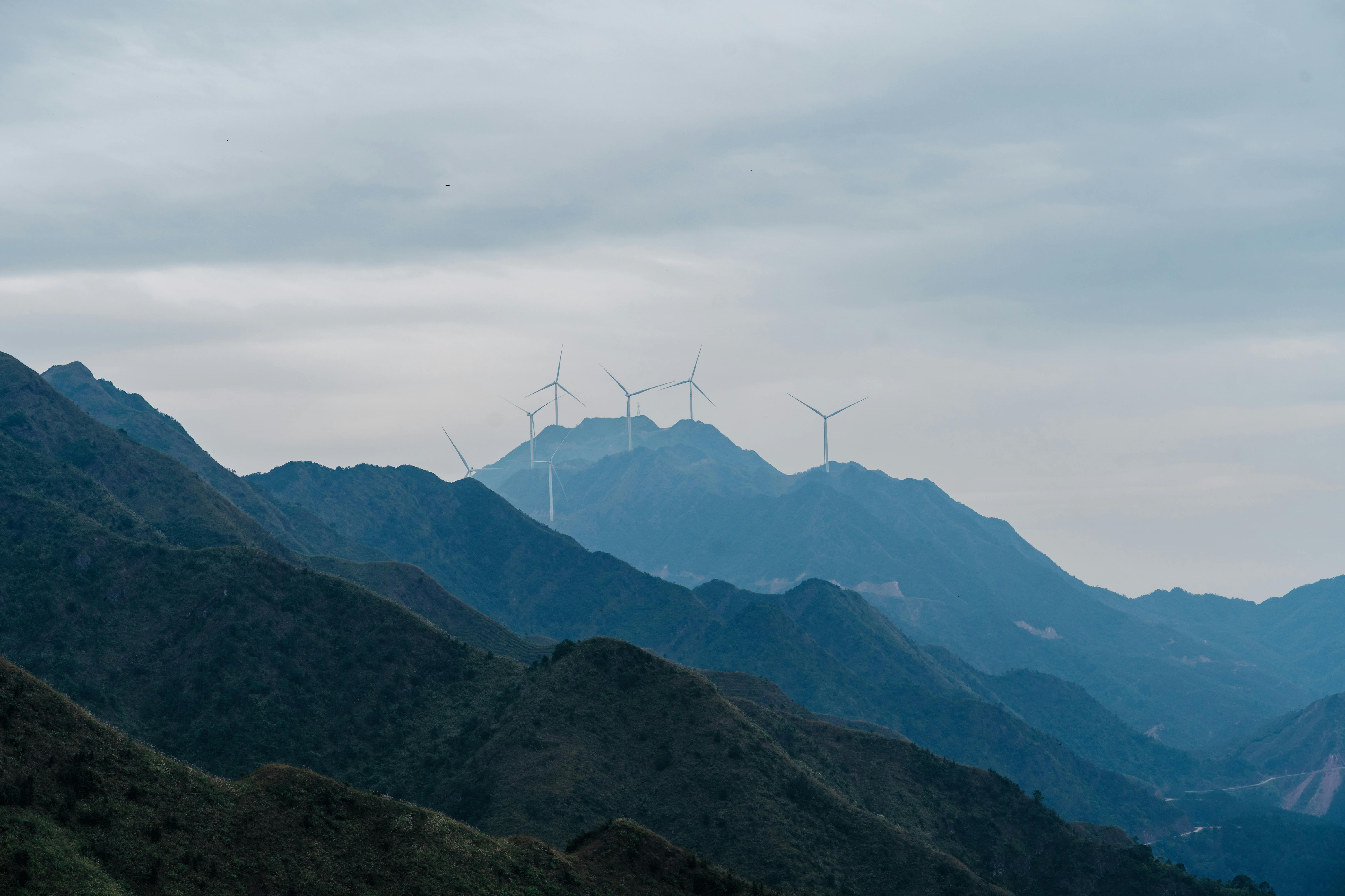 Miễn phí Ảnh lưu trữ miễn phí về 28-75mm, binhlieu, cỏ lau Ảnh lưu trữ