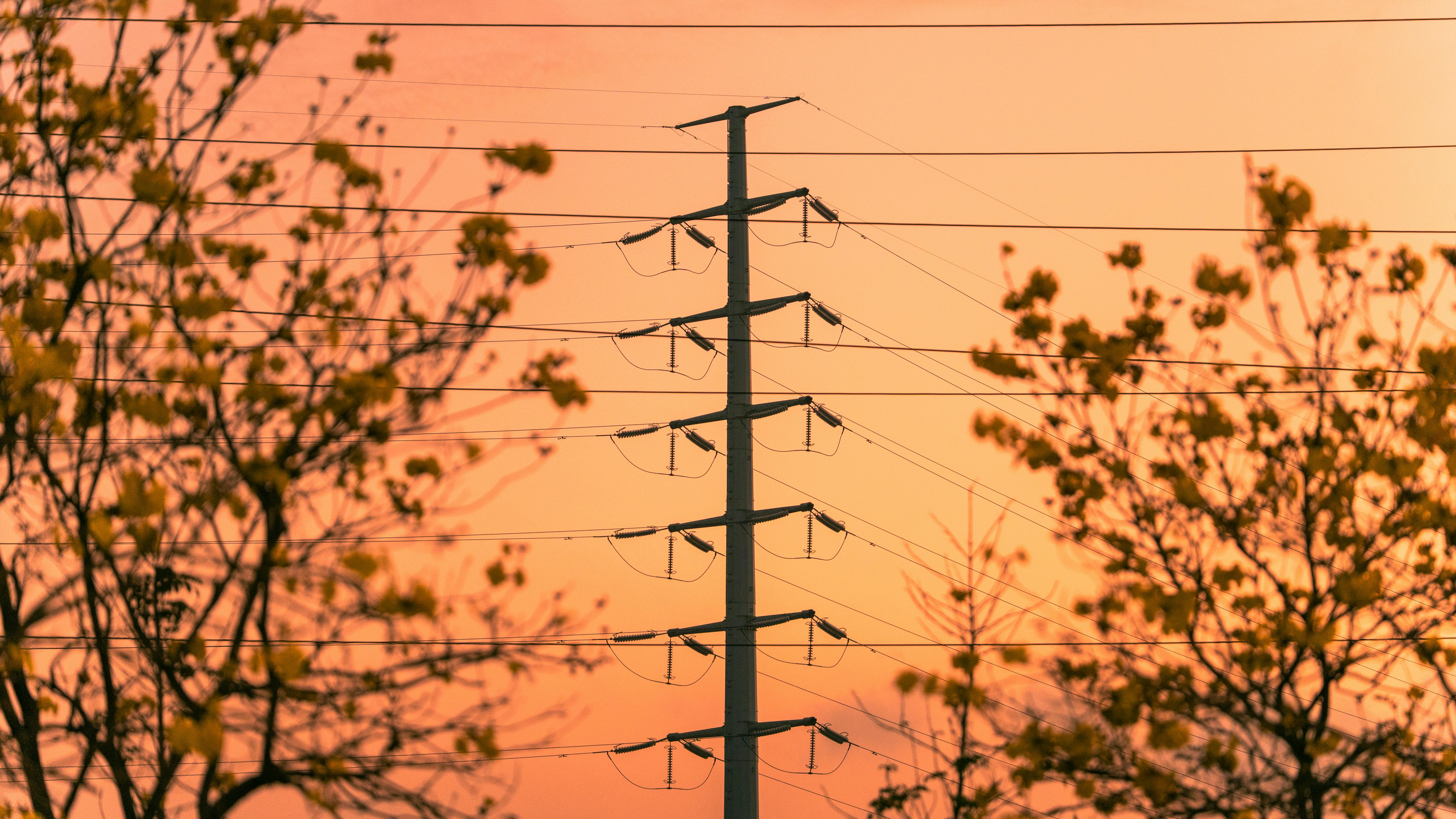 DEL Energy launches with $10m Anergi backing as Nigeria’s decentralised energy sector crosses $100m in funding