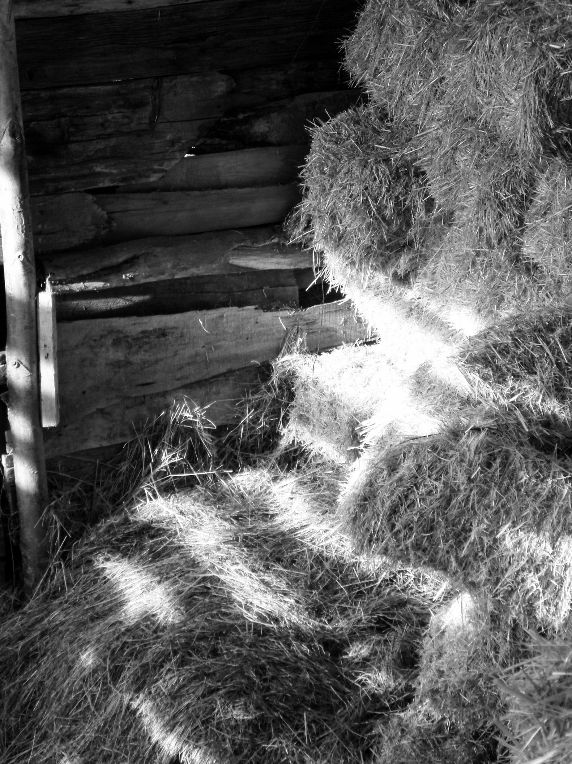 bezplatná Monochromatická fotografie zachycující rustikální balíky sena naskládané uvnitř dřevěné stodoly. Základová fotografie