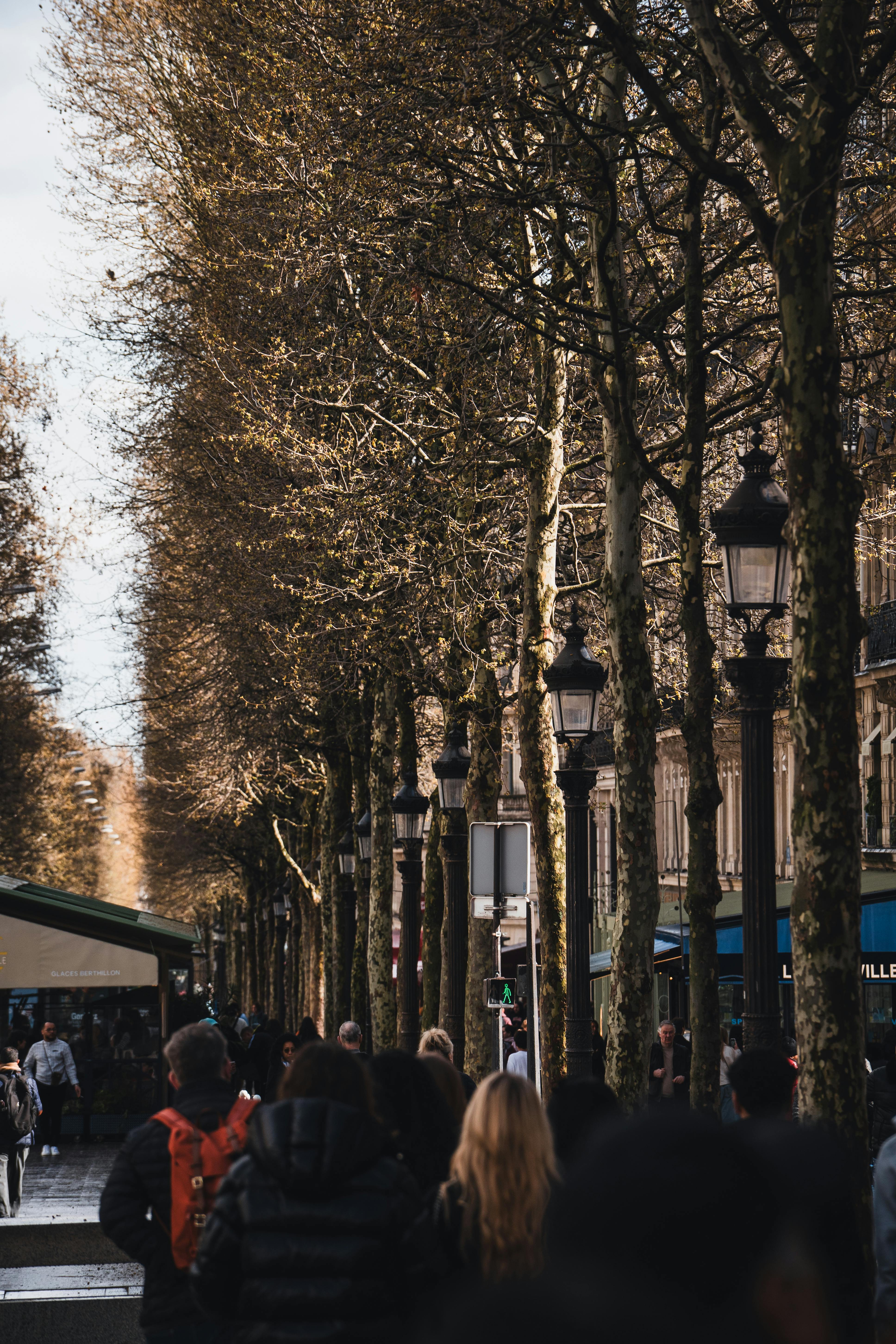 ฟรี ถนนในเมืองที่พลุกพล่านไปด้วยผู้คน ต้นไม้ไร้ใบ และโคมไฟโบราณ ในวันที่อากาศแจ่มใสในฤดูใบไม้ร่วง คลังภาพถ่าย
