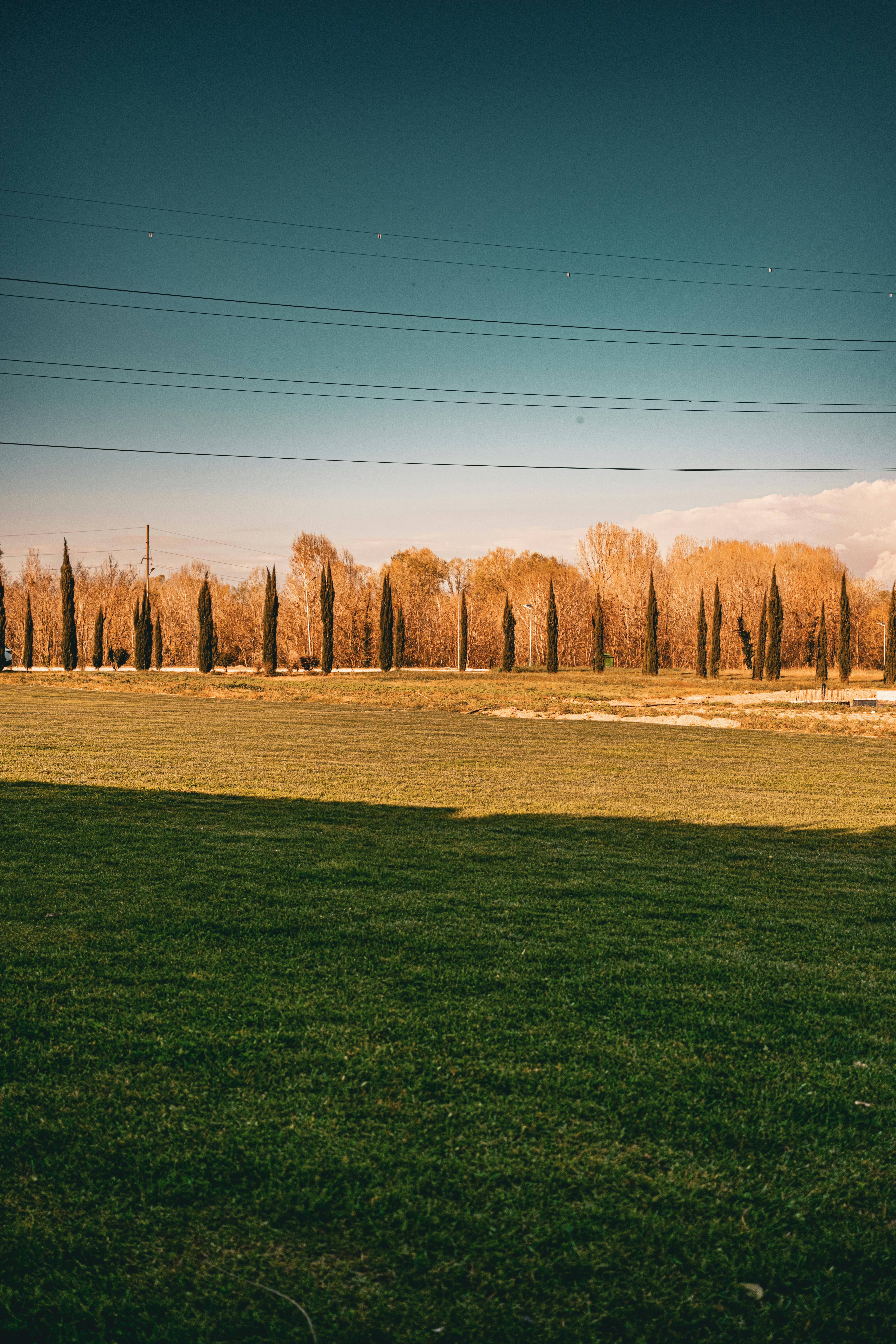 ฟรี ภาพอันเงียบสงบของทุ่งหญ้าในแคว้นทัสคานีในฤดูใบไม้ร่วง ที่เต็มไปด้วยต้นไม้สูงใหญ่ อาบแสงแดดอบอุ่น คลังภาพถ่าย
